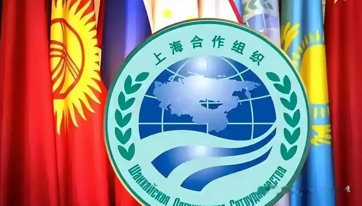 咱又要搞个国际金融“新团伙”——上海合作组织开发银行，说通俗点，就是拉着上合小伙