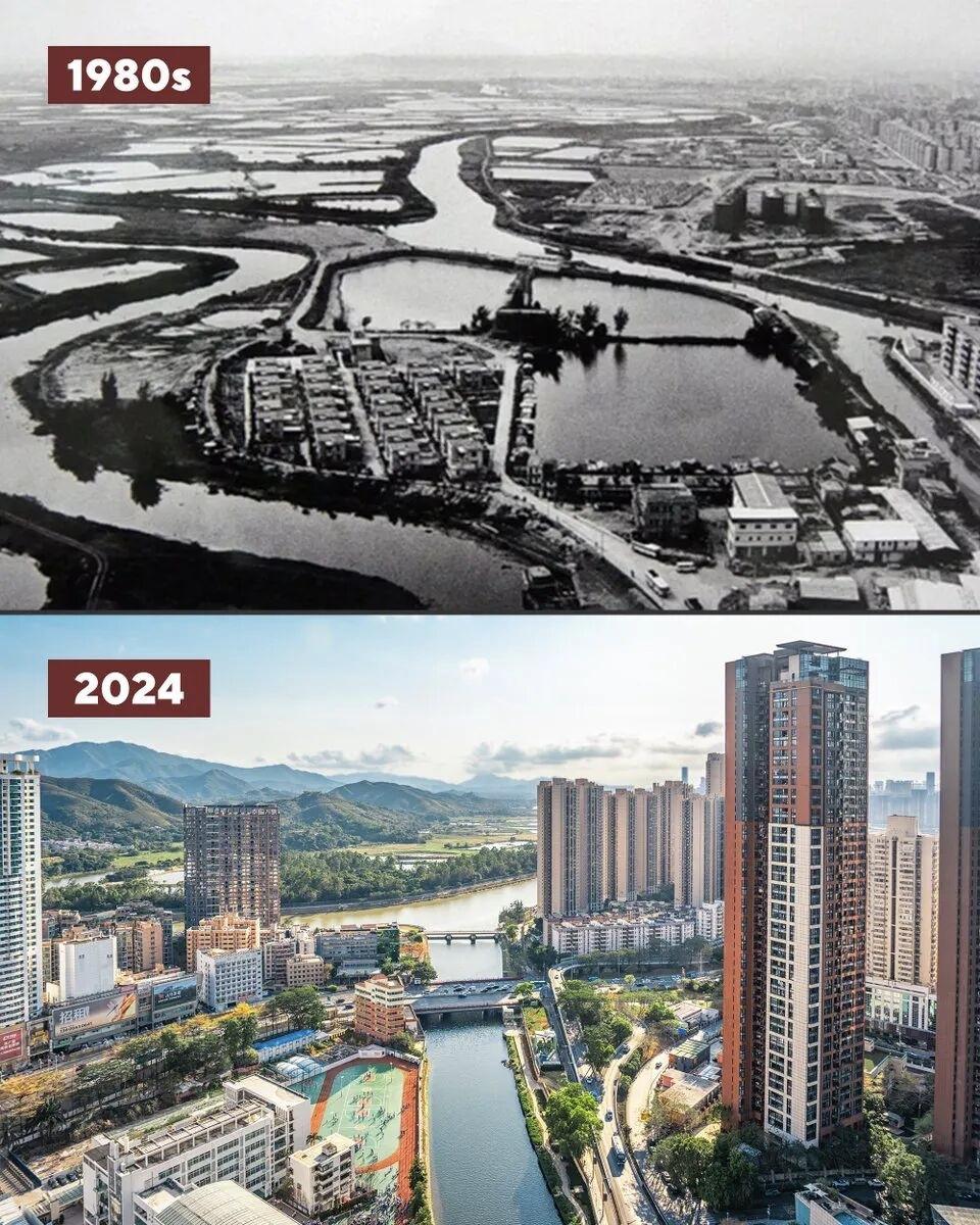 在你眼中,什么才是真正的智慧?在我眼中，这些年我党在治党理国方面积累的丰富实践经