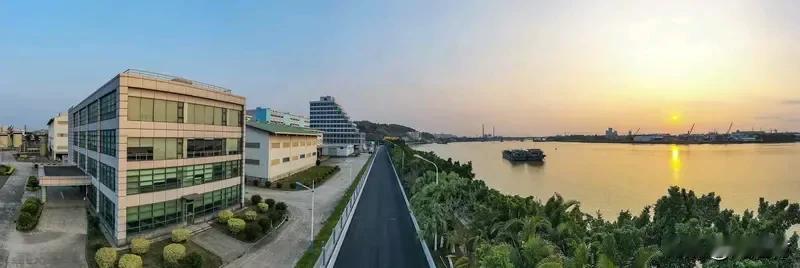 金龙鱼为何要为十年骗局买单 金龙鱼为何要为十年骗局买单
金龙鱼这次可真是栽大跟头