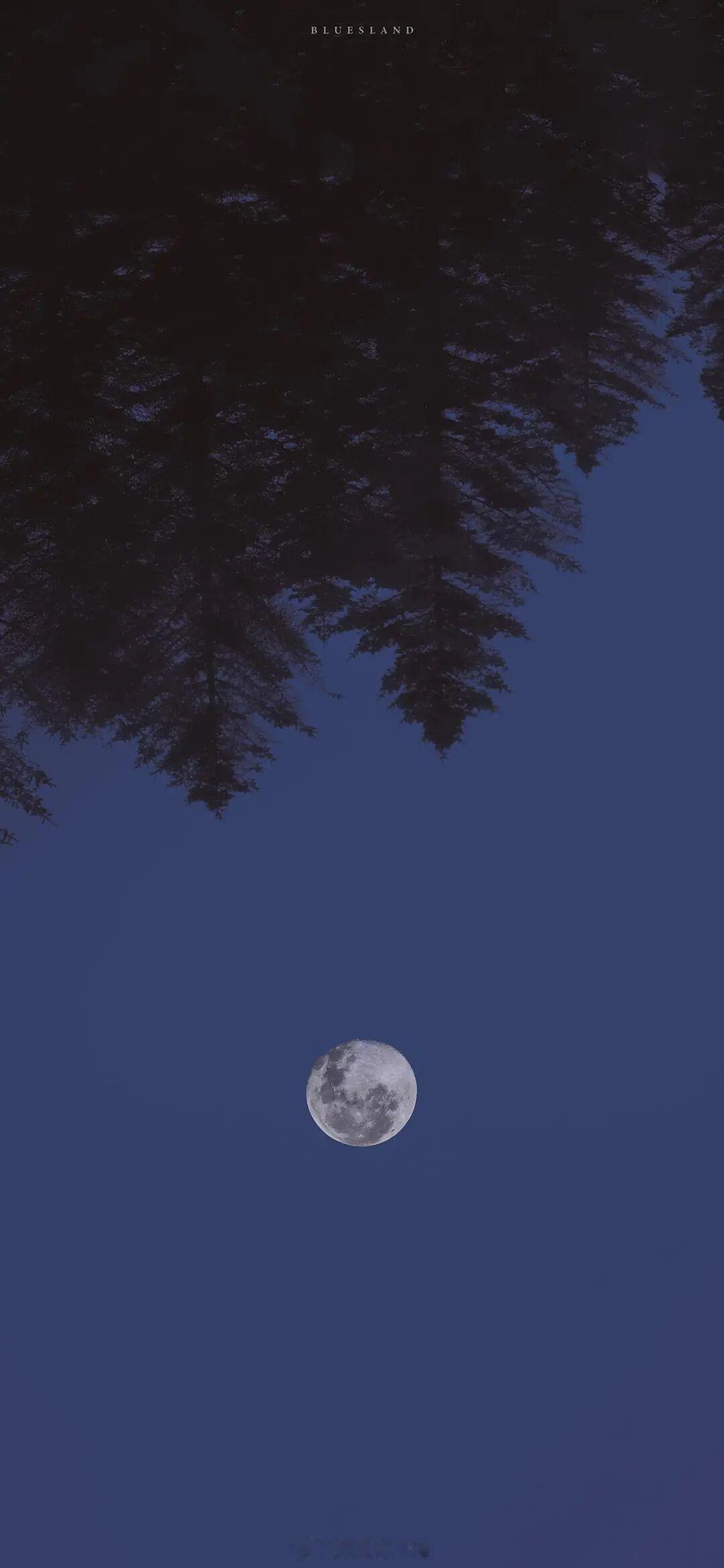 过自己想要的生活不是自私，要求别人按自己的意愿生活才是。——王尔德《英伦情人》