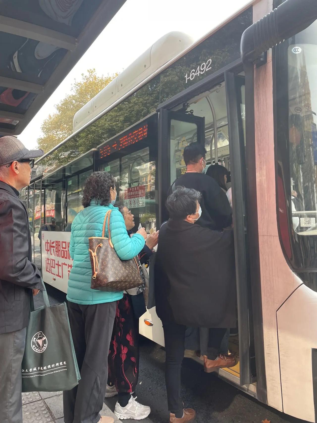 看车窗外的枫叶