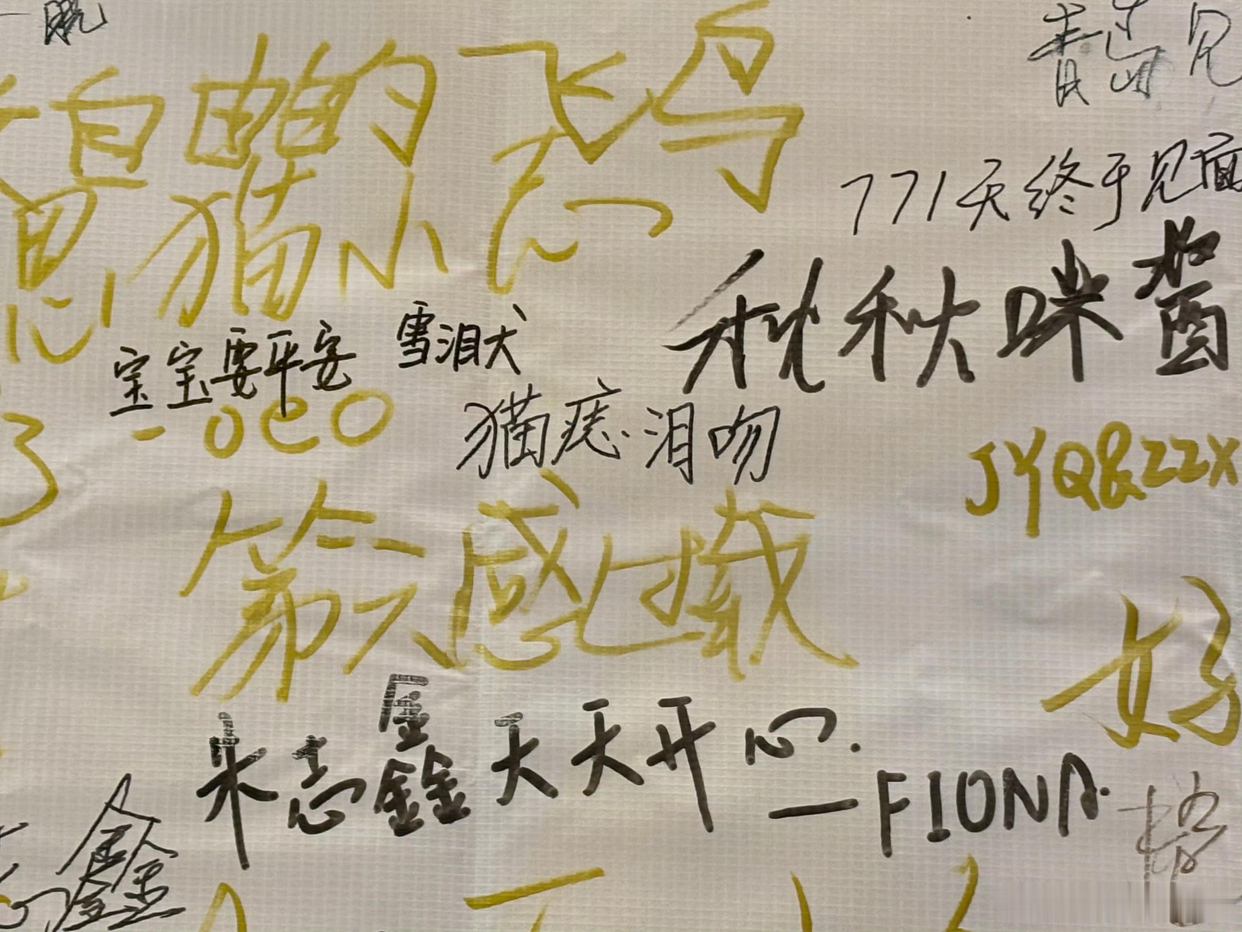 运动会，谢谢专栏 · ID先来见你！