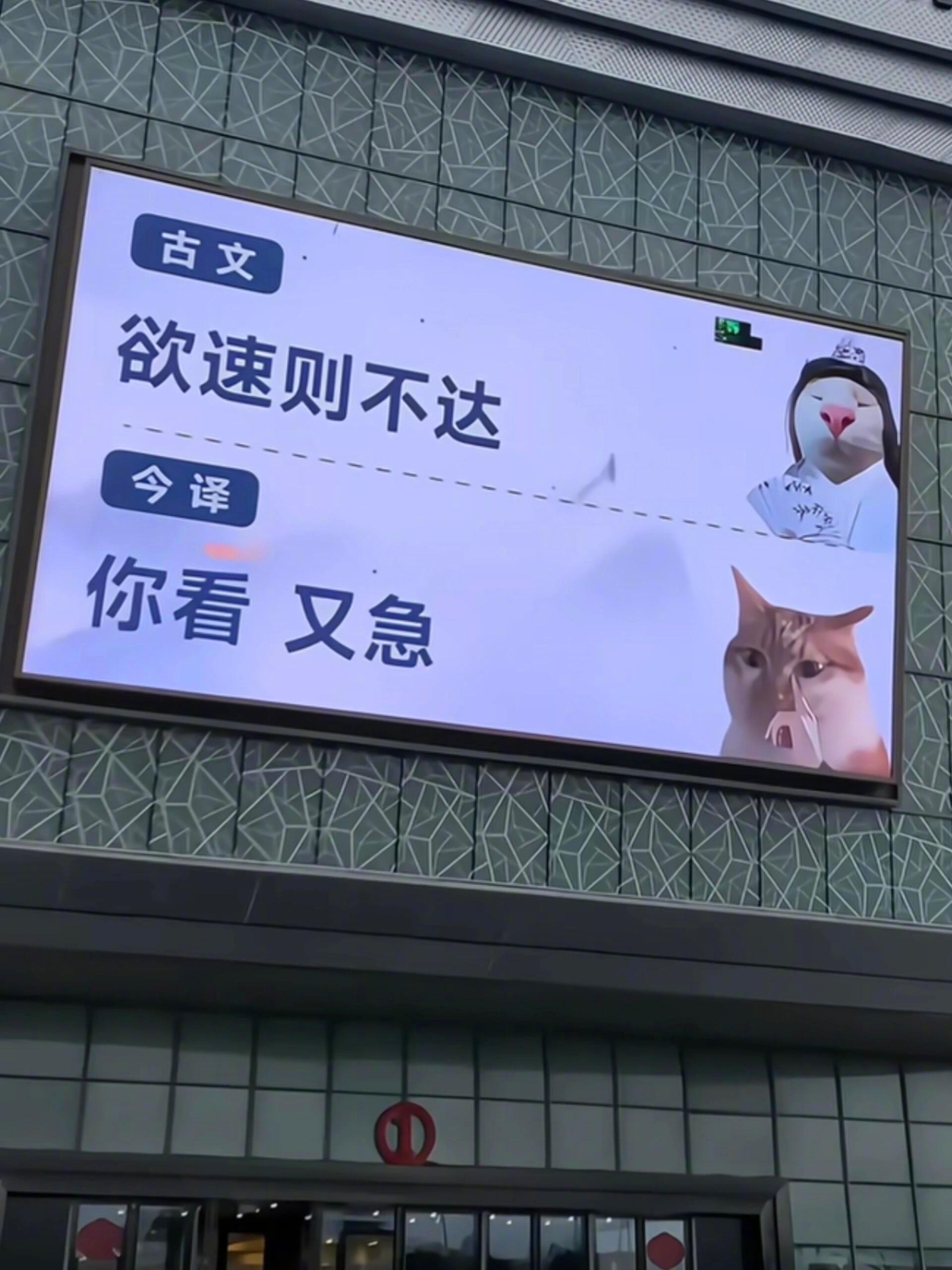 古文中译： 