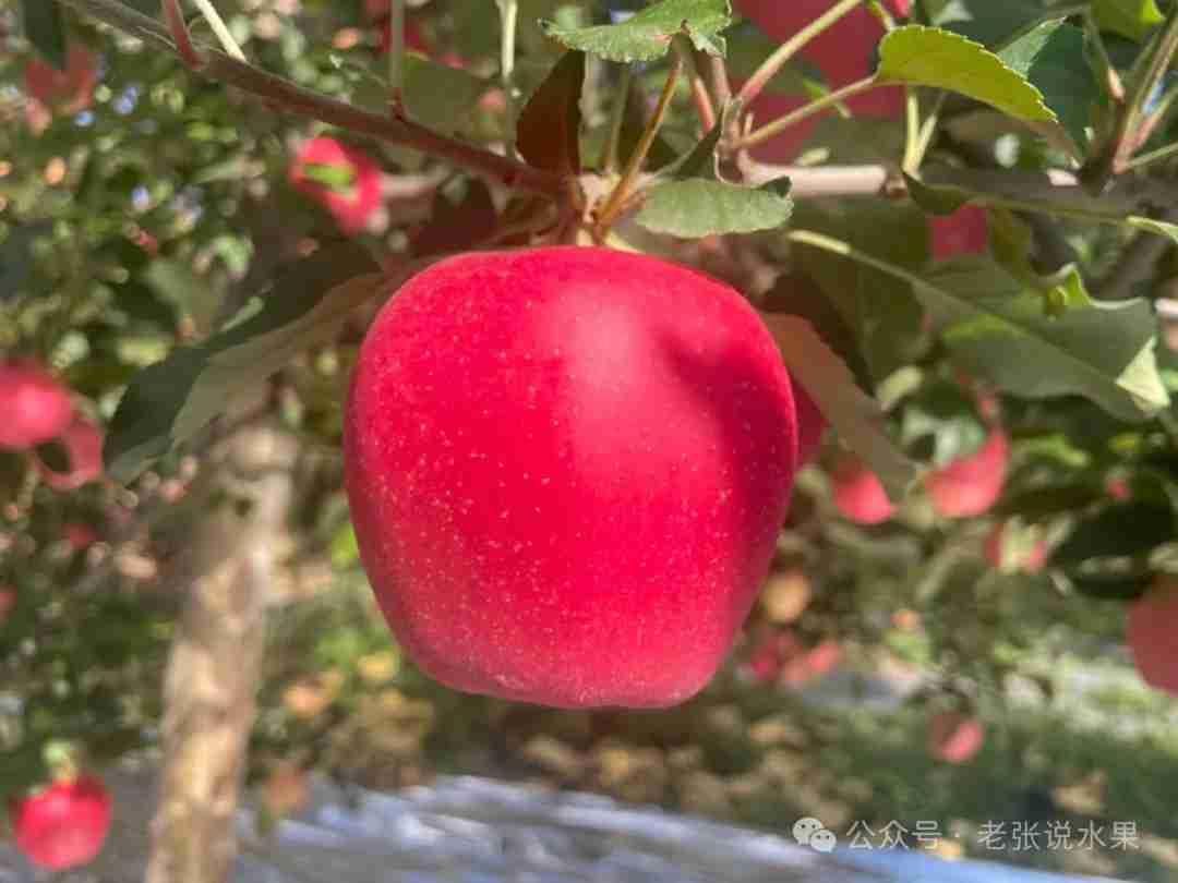 我的今日状态：😁轻松愉快
我这里的天气：🌤️多云
健康的爱，不是将你塑造成他