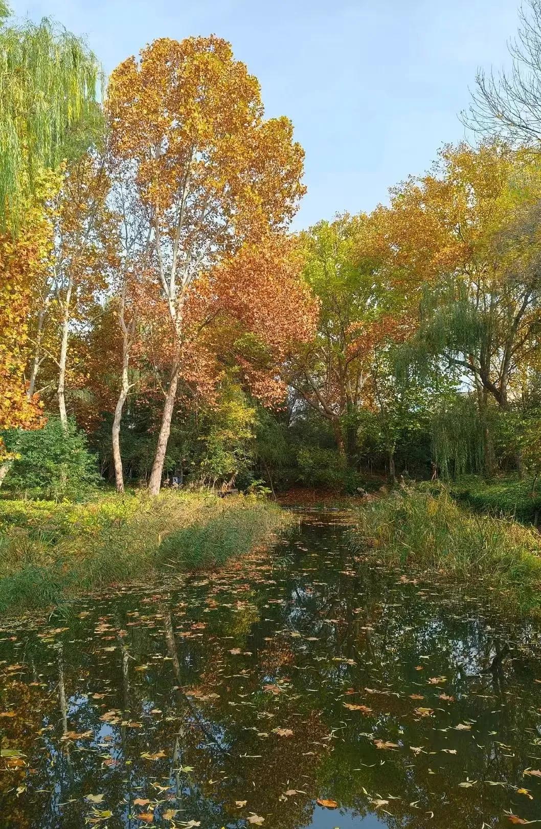 以前是有理走遍天下，没理寸步难行。
现在是无耻走遍天下，老实寸步难行。

好事办