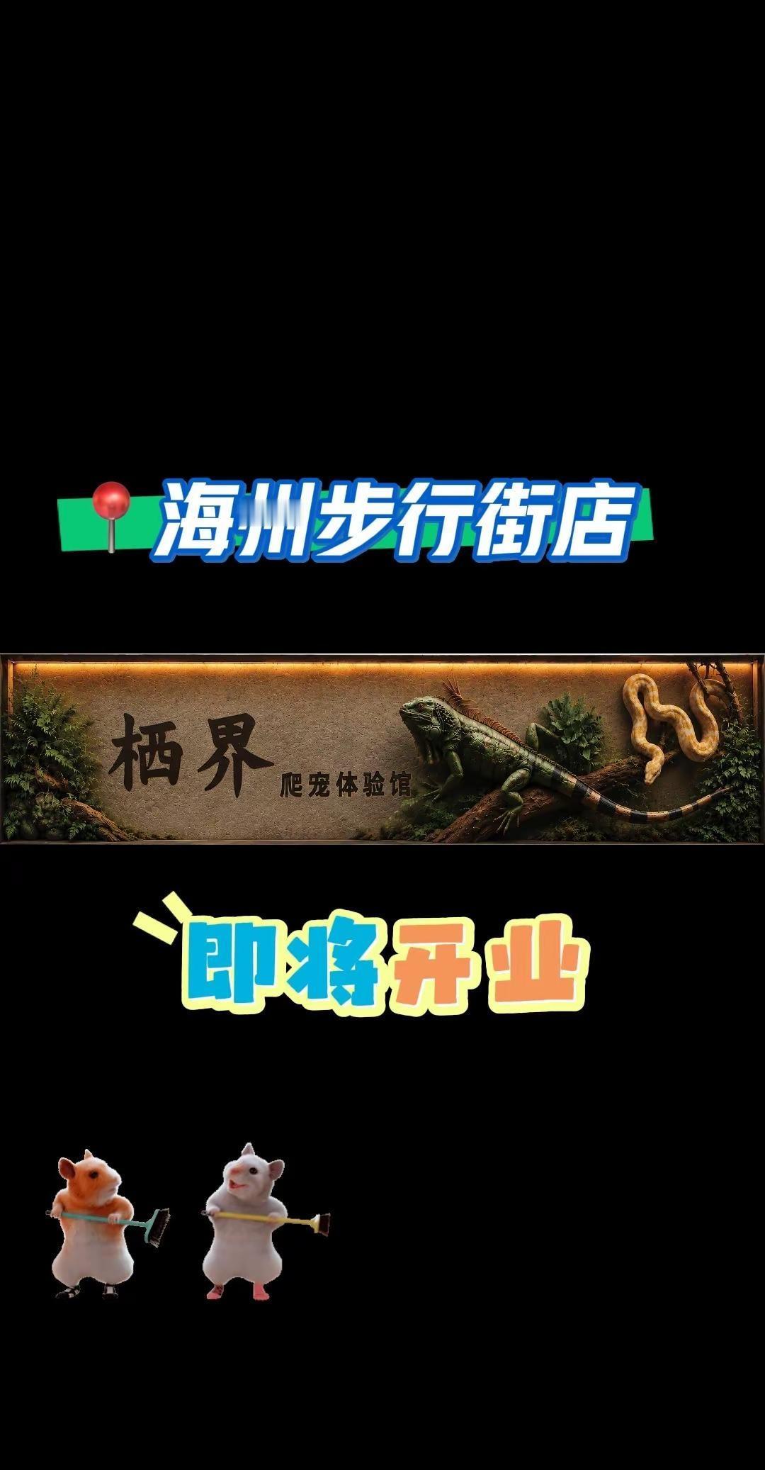 爬宠体验馆 爬宠馆日常 爬宠零距离接触 连云港
