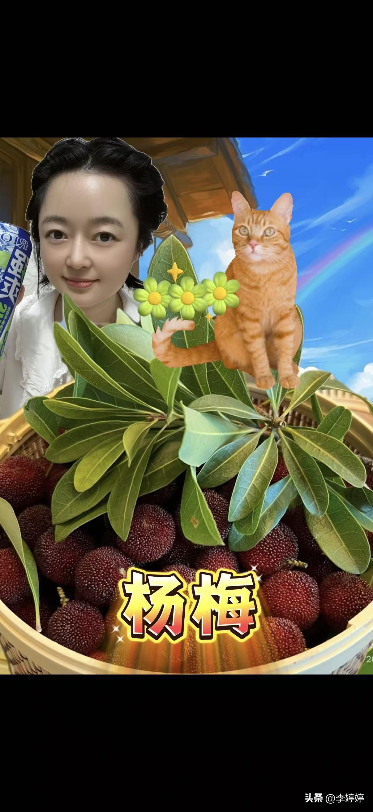 昨天立秋了，
2026年8月7号，仿佛我感觉这时间像做梦一样，专眼之间还有四个月
