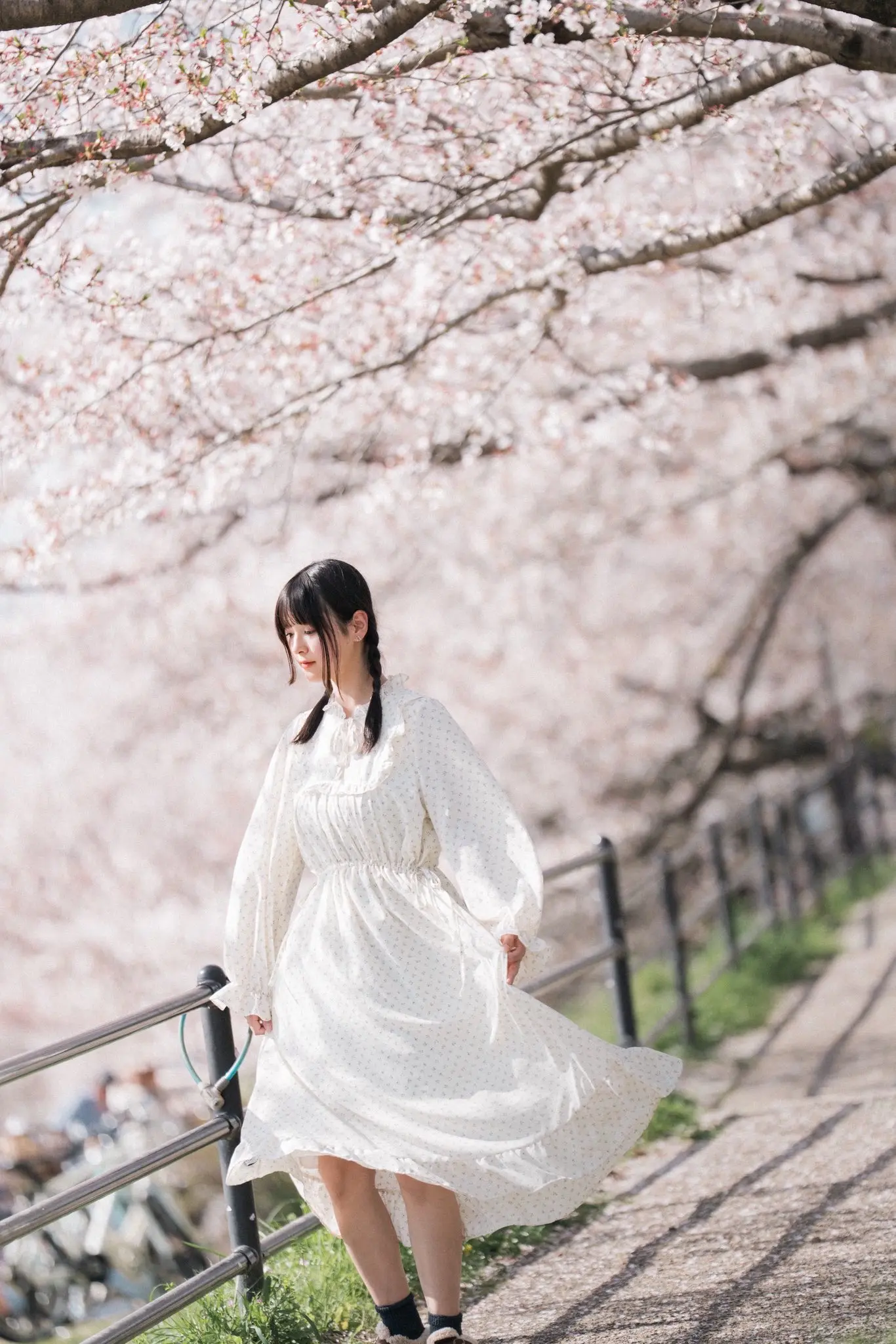 樱花 日系樱花风 少女与樱之约 日系女孩 樱花白裙