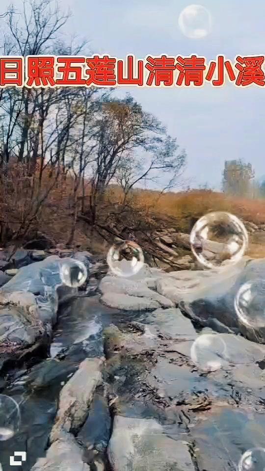 开车路过五莲山，路边绿树像忠诚卫士排开，阳光洒下一片金黄，心情也跟着亮起来。
