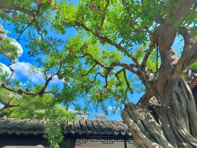 保护自己最佳的方式就是从不高估自己在别人心中的分量