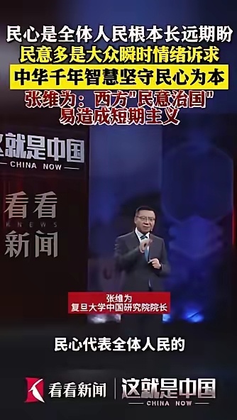 张维为教授。 