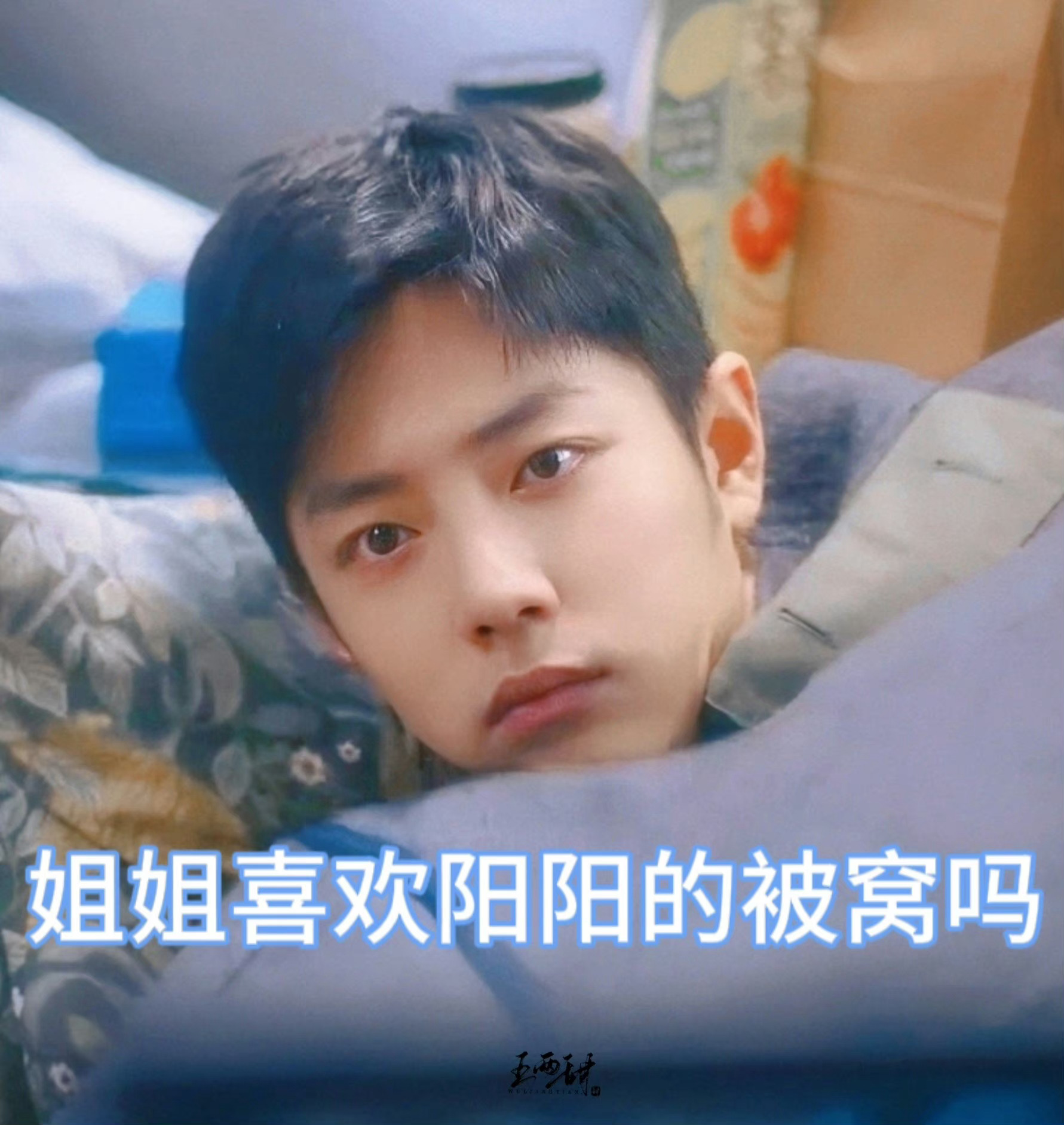 #陪肖战走花路# 晚安安🌙[awsl]❤️Darius/Wayne Snow《
