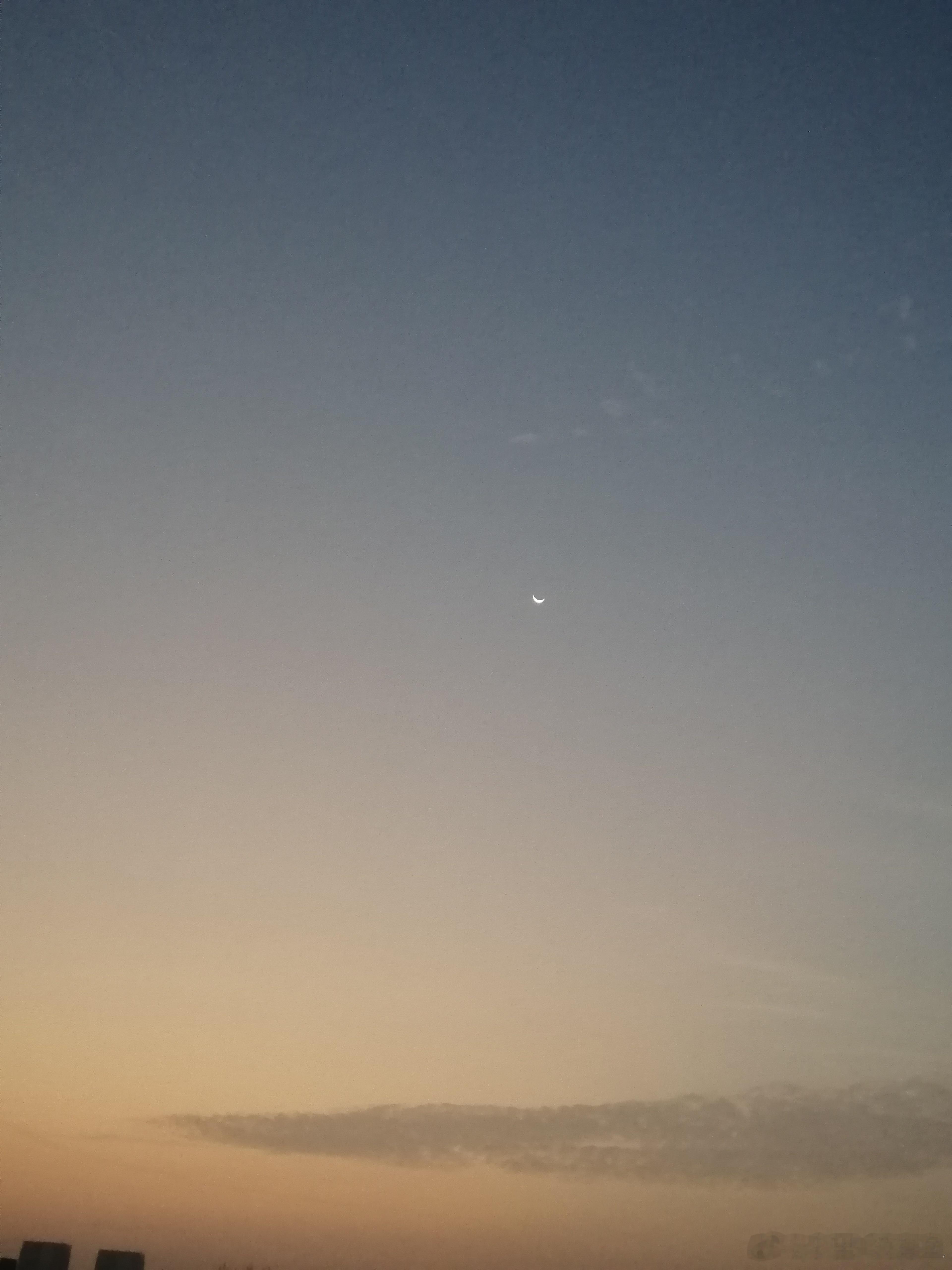 新的一周，早！ 