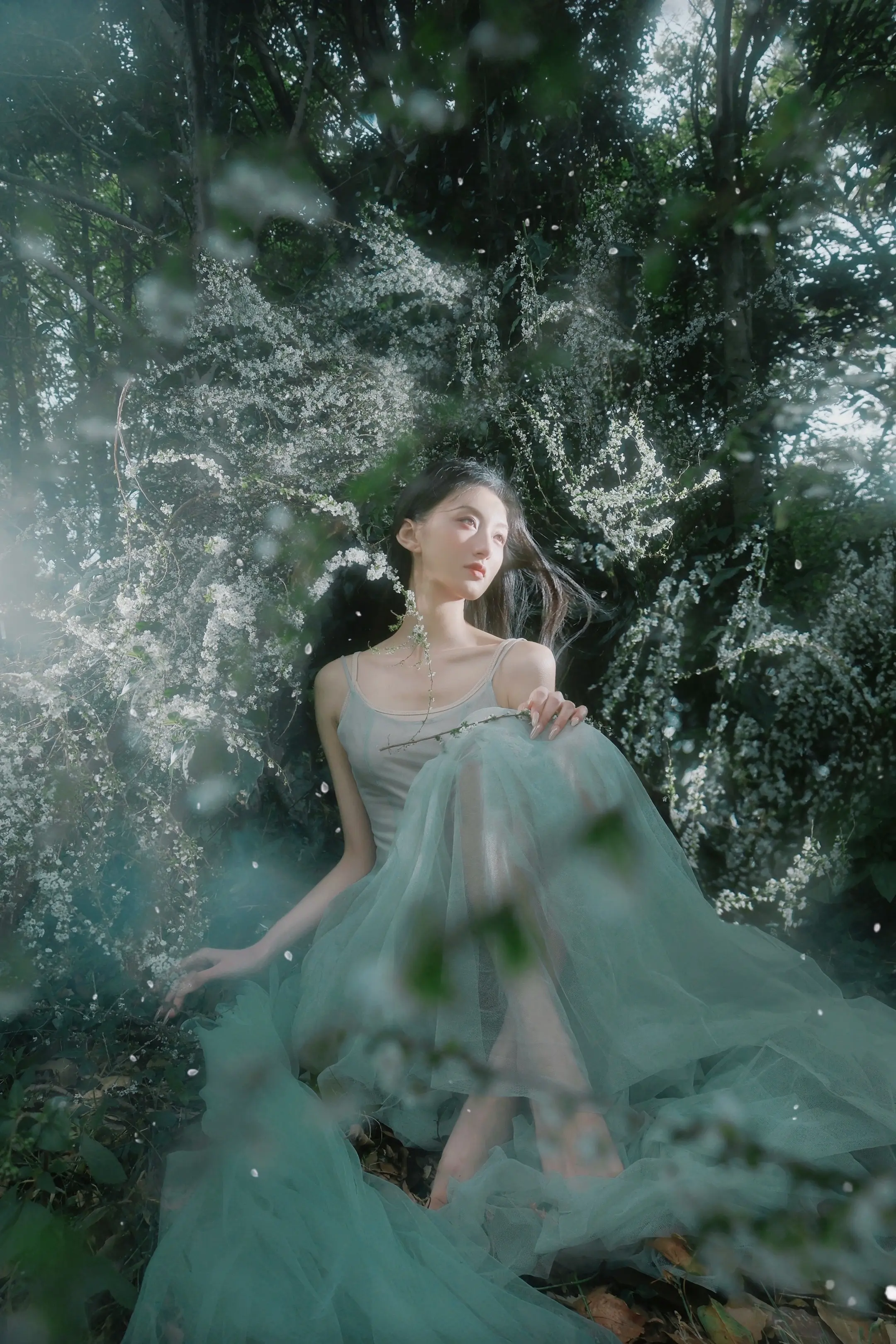 长冬有尽 枯木簪春。