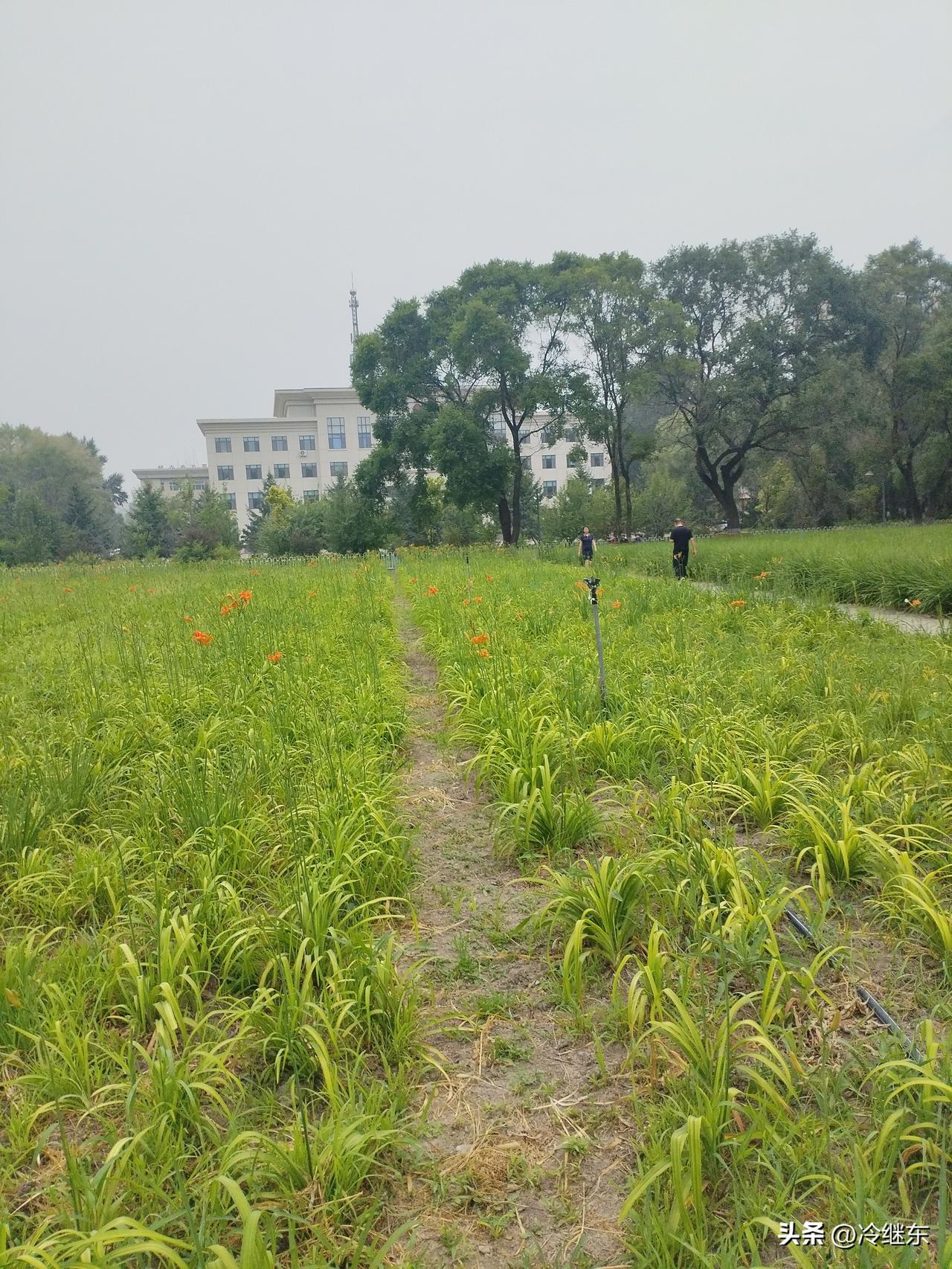 房子变成大宗耐用消费品，这很正常。因为，房子本身，就是大宗耐用消费品。
   前
