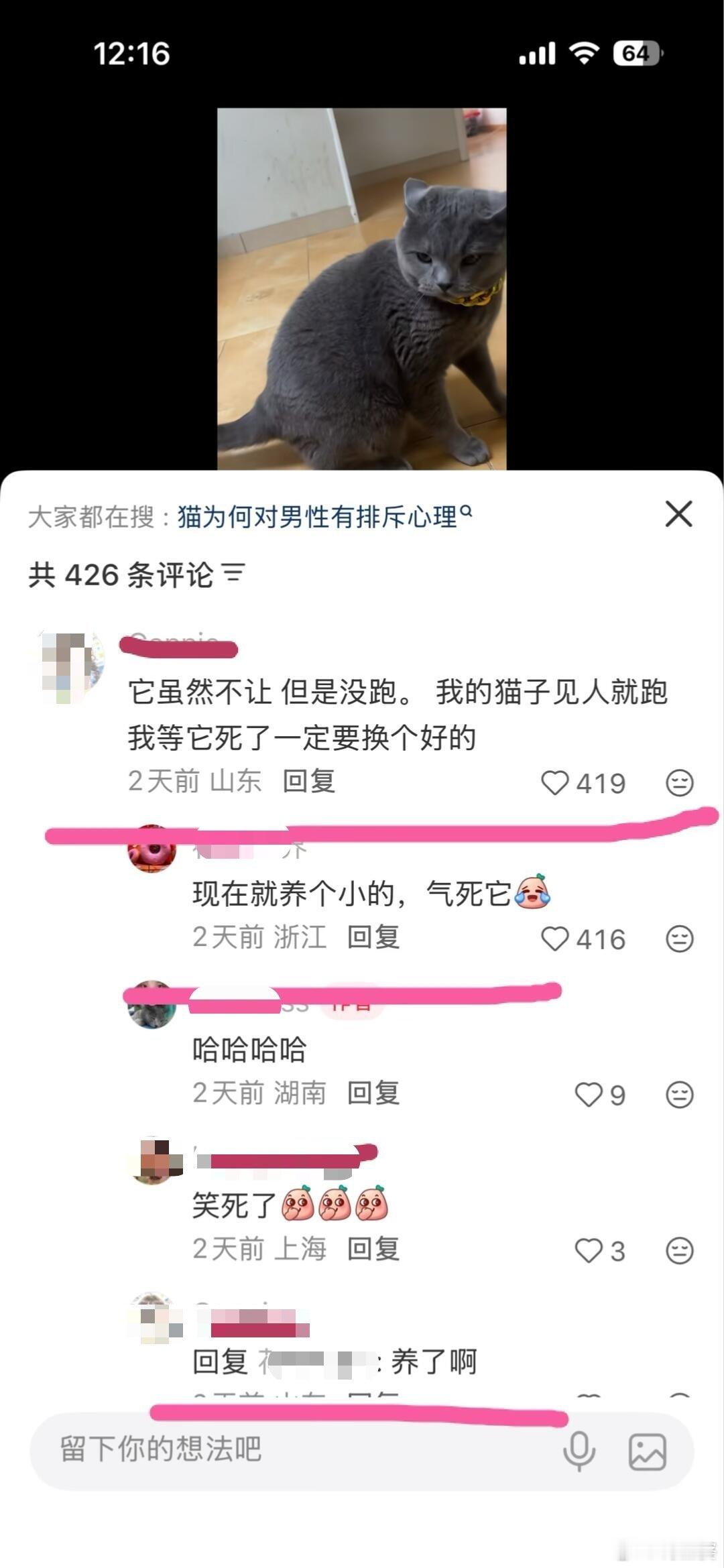 -这样的评论区居然还能聊得其乐融融…不能负责，不能好好对待，就不要养宠好吗，毕竟