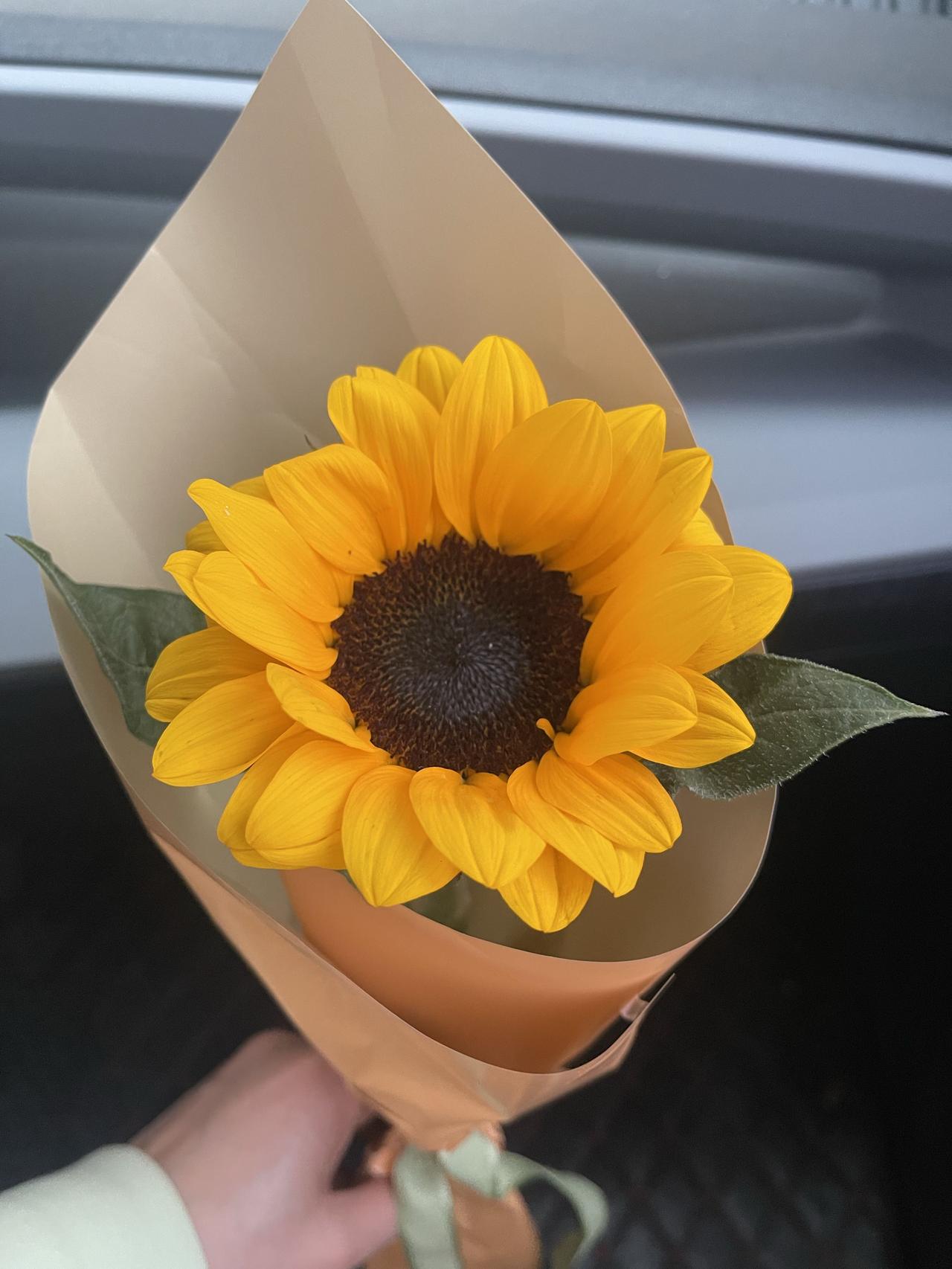 最近有个退休的阿姨火了，就因为她一句话：
“退休后，我不会去老年大学。”
为什么