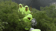 有这样一群人他们曾经是面对洪水无助的少年长大后他们学着当年英雄的样子当先锋、打头