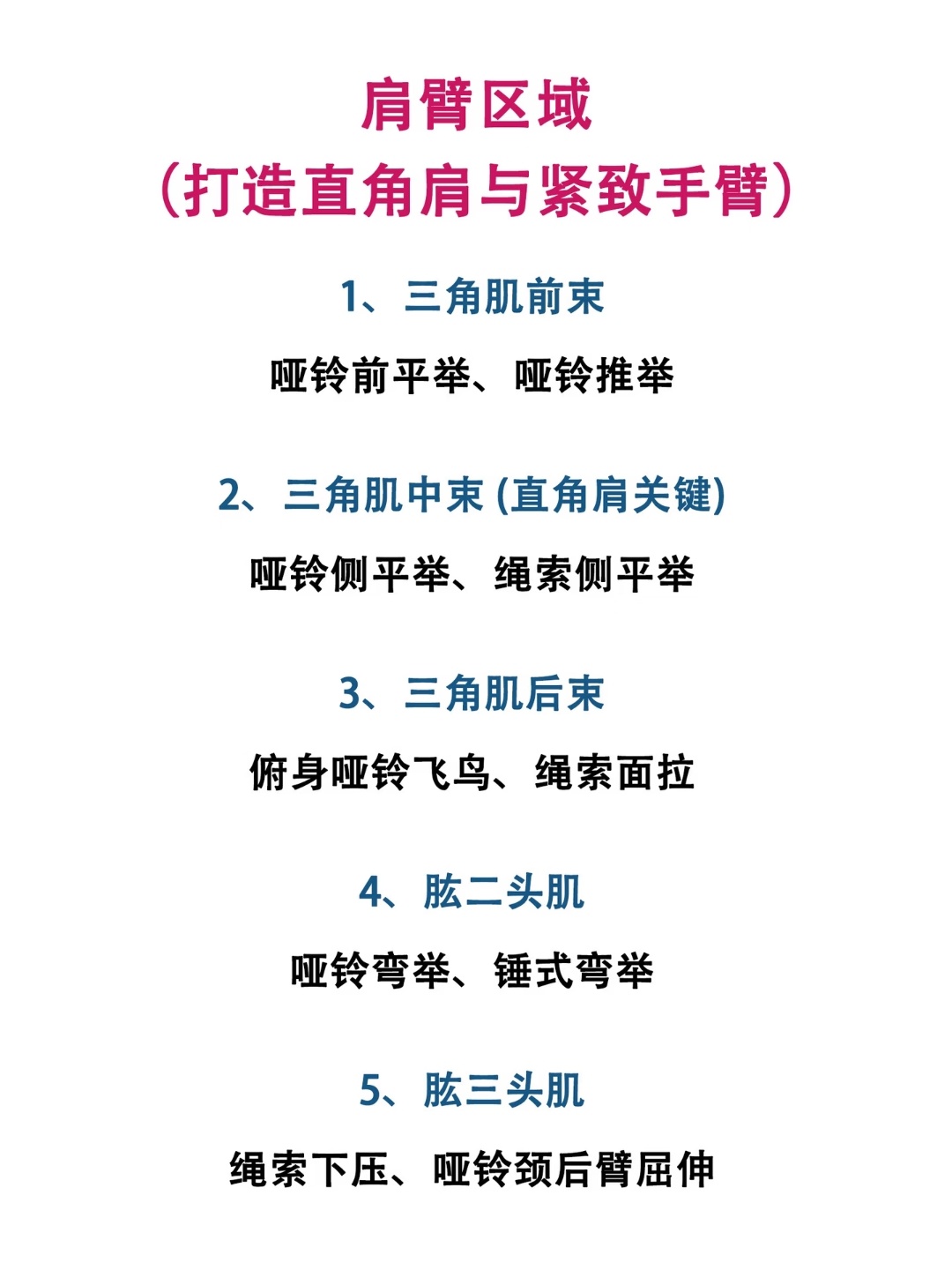 肌肉图解｜女生专属训练指南 ​​​