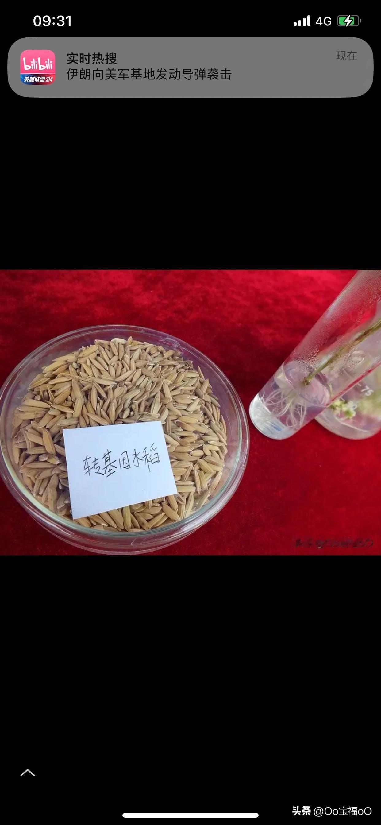 按照样式；按照图纸；我们都做不上来；哈哈哈哈哈；可别吹了；不要吹了；见证世界吧[