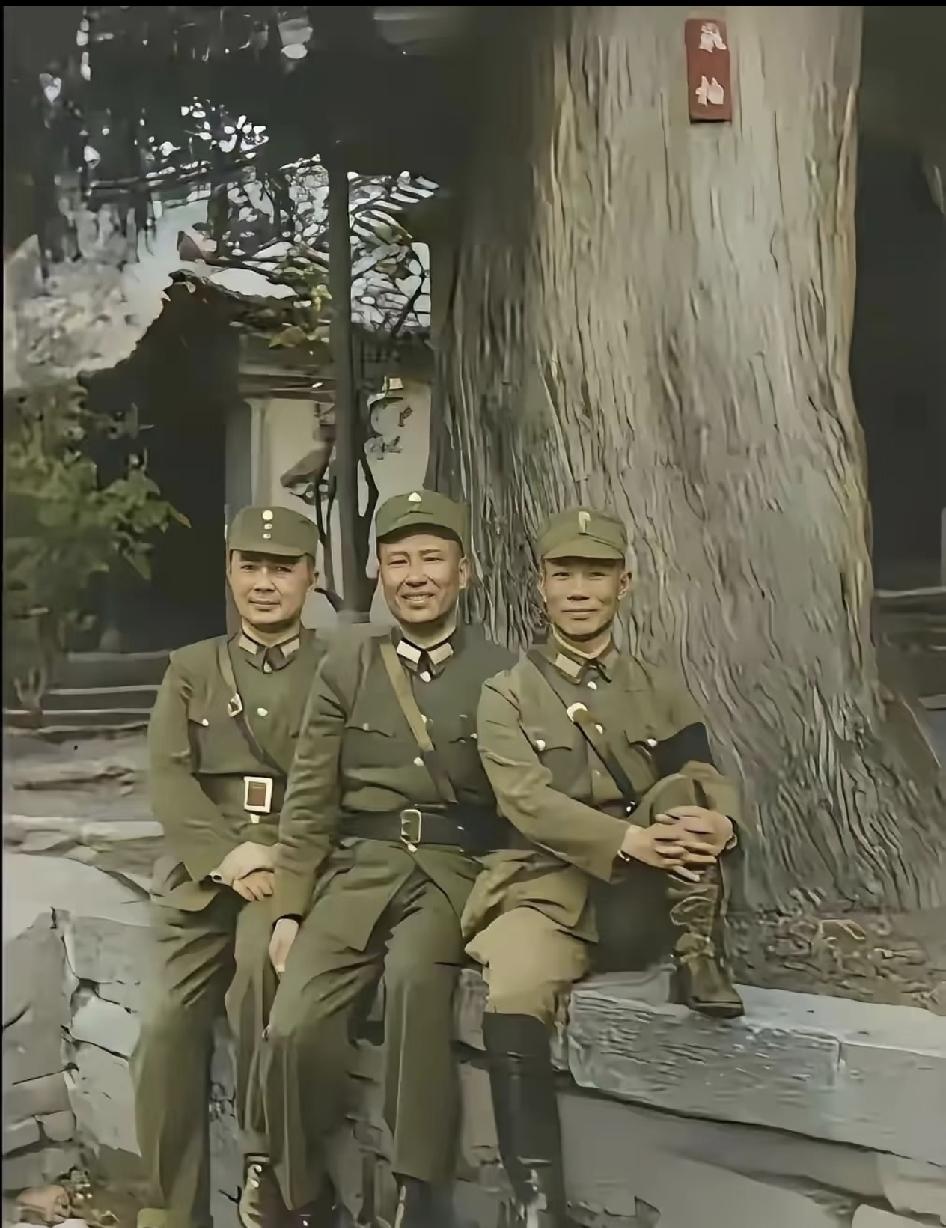 1943年8月3日，昆明黑龙潭公园的一棵千年柏树下，分属不同派系的陈诚、白崇禧、