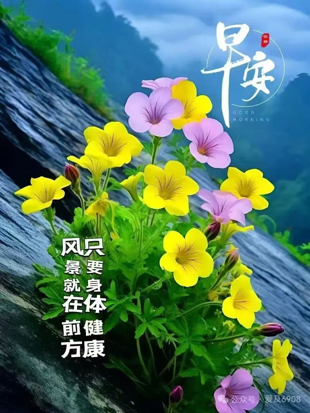 分享图片 