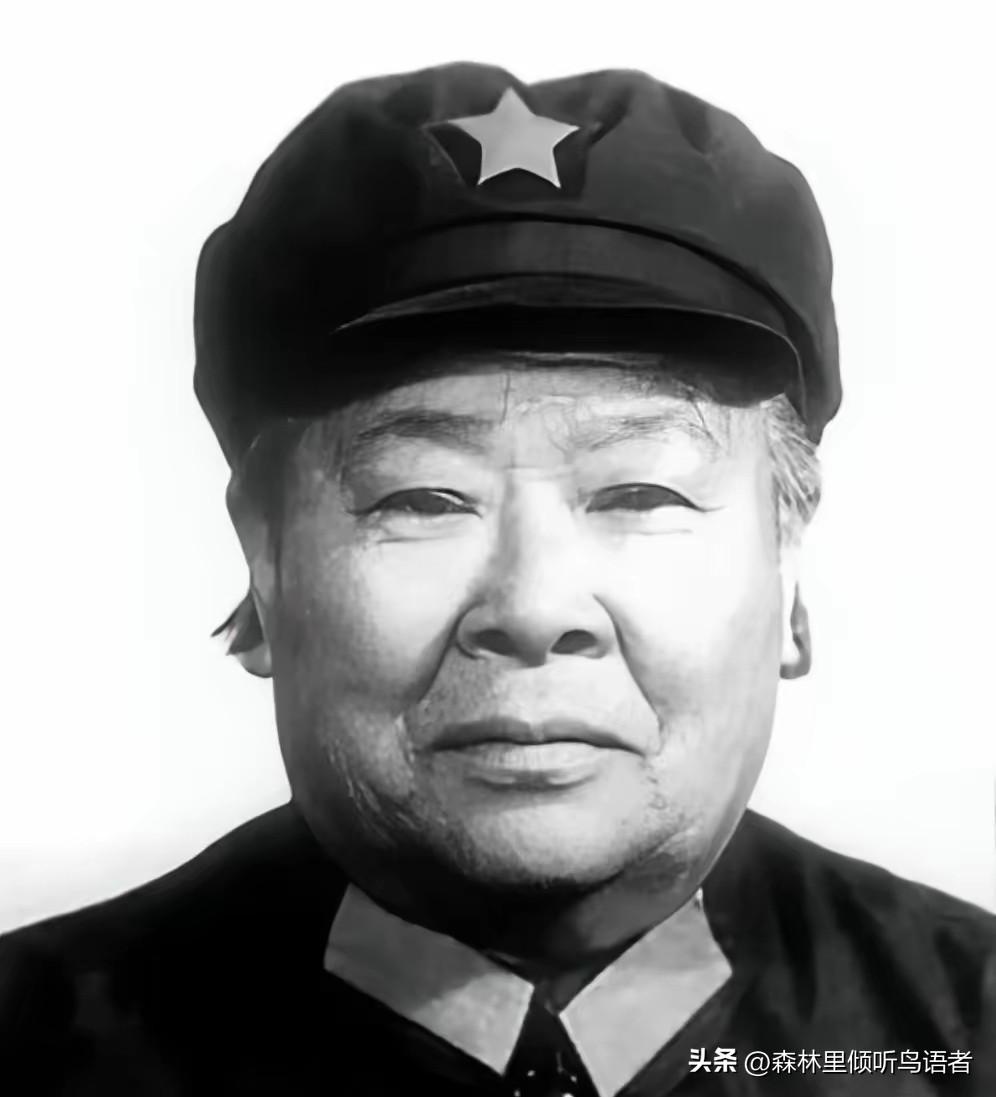 1933年的川陕苏区，一则新鲜消息在队伍里悄悄传开，新编入队的女兵之中，来了一位