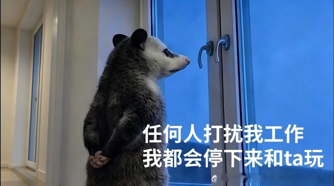 最近状态：“任何人打扰我工作我都会停下来陪他玩” 
