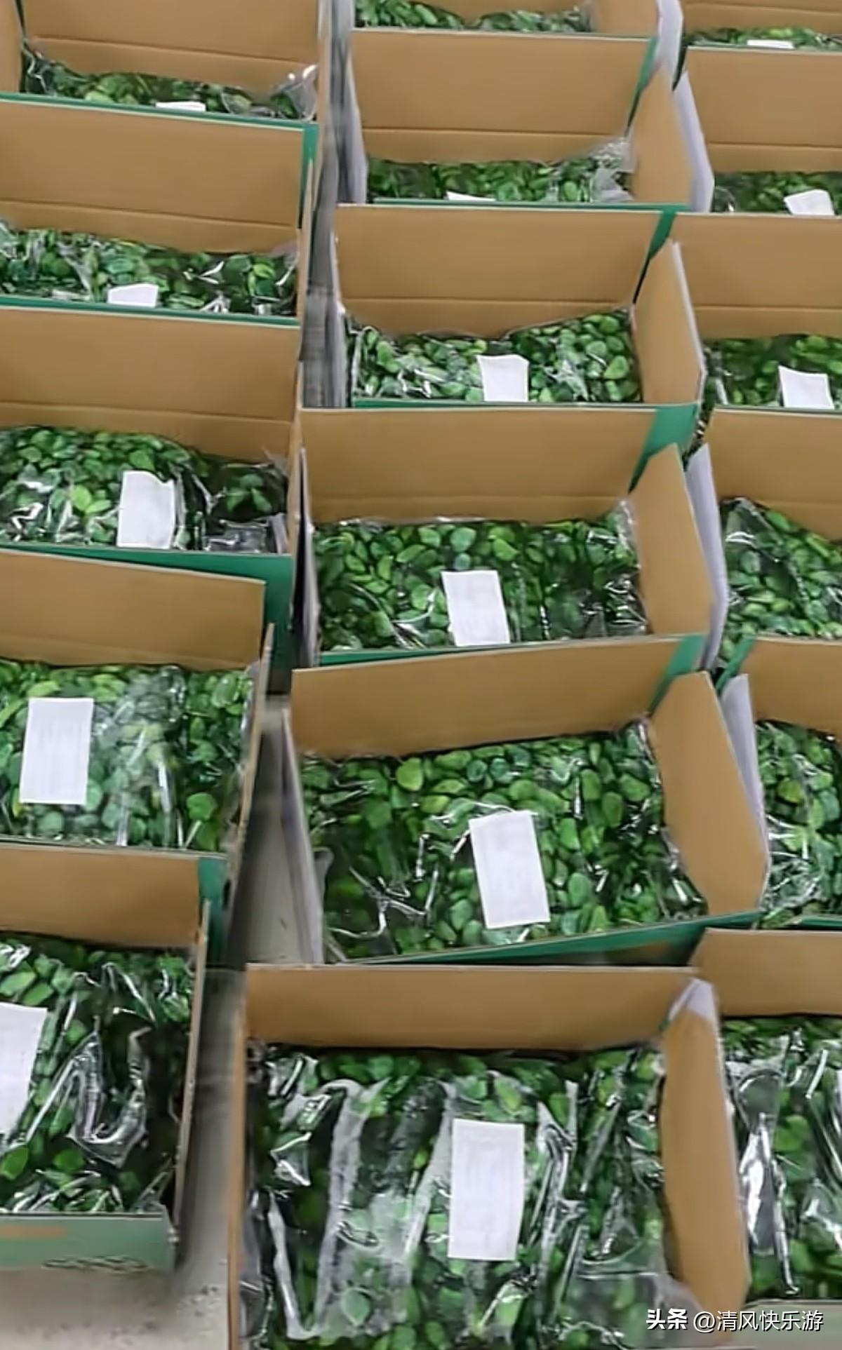 我自己一个人在家做电商，现在已经完全适应了这样的节奏，早上根本不需要闹钟，6点3