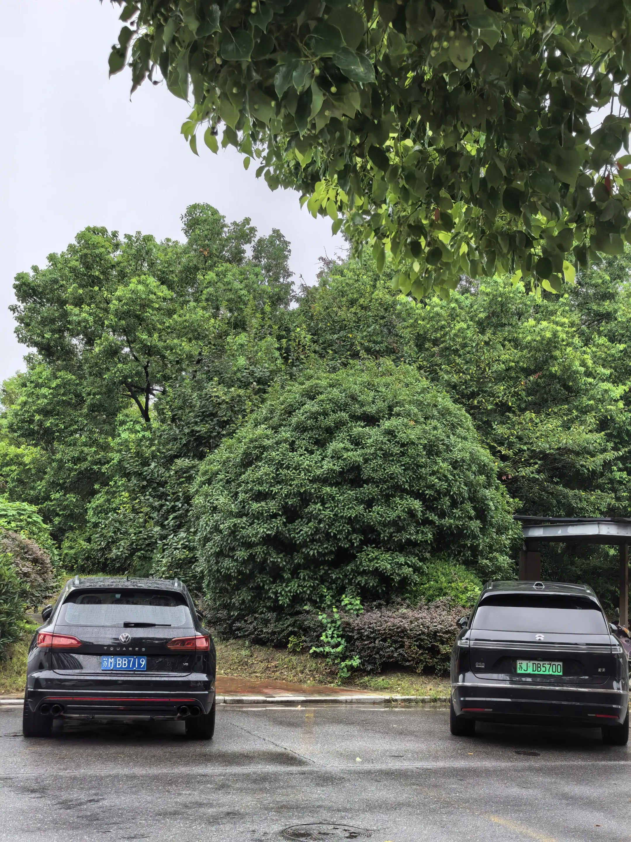 当下/50万，添置一台车，你选哪台。
