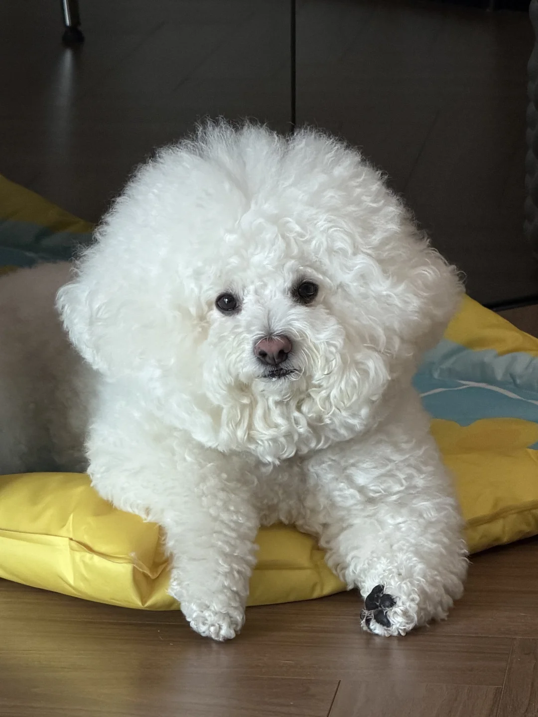 天天沉迷于给自己脚底板抛光