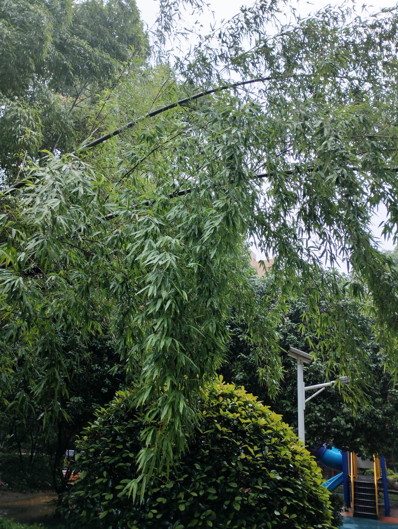生命和钱财,哪一样重要?生命和钱财我认为生命重要。如果一个人生命都保不住了，再多