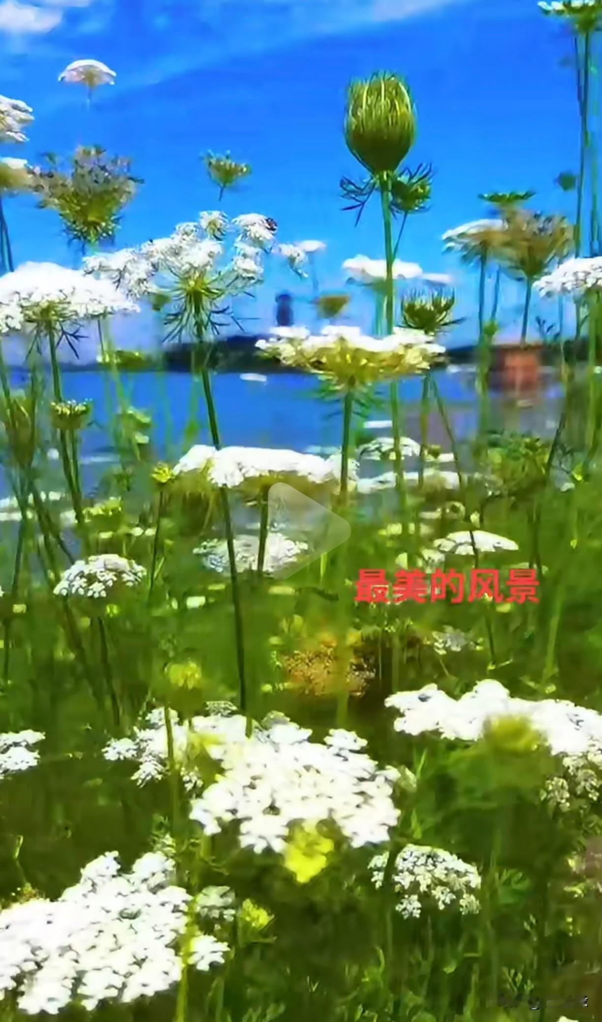 看到“龙吟千江水”这个上联，瞬间来了兴致。对联讲究对仗工整、平仄协调。从参考信息