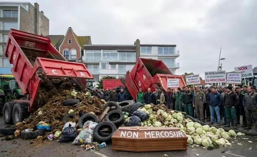 12月19日，数十名法国农民到位于勒图凯的马克龙夫妇海滨别墅前抗议，他们向豪宅前