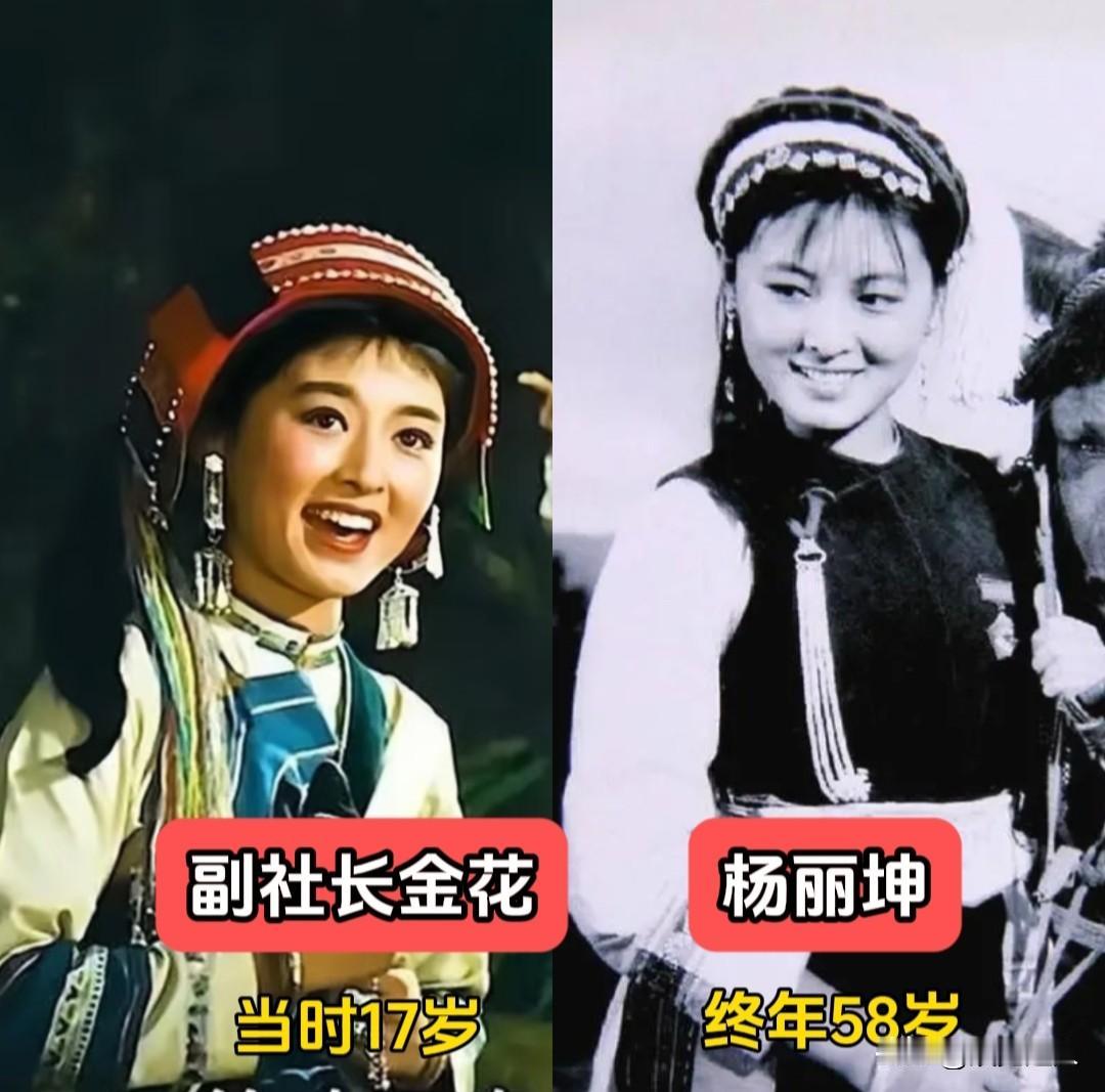 杨丽坤主演的《五朵金花》获得过不少奖项呢！它在1960年获得了埃及开罗举行的第二