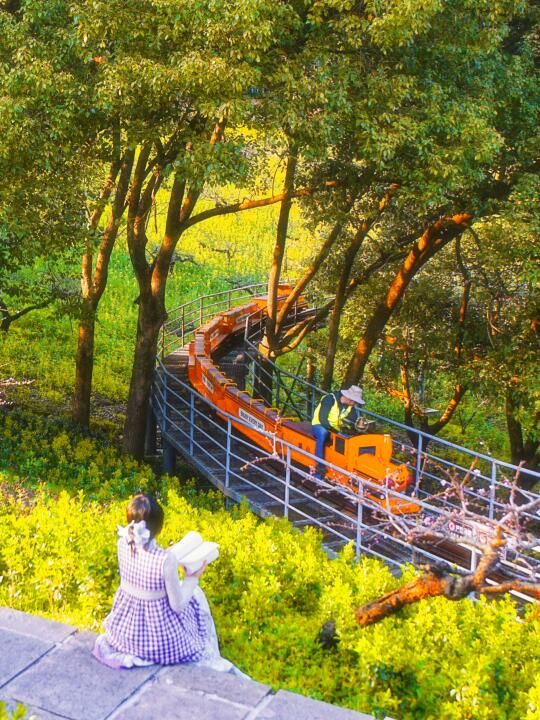 live实况！南京1h🚞坐上开往春天的小火车…