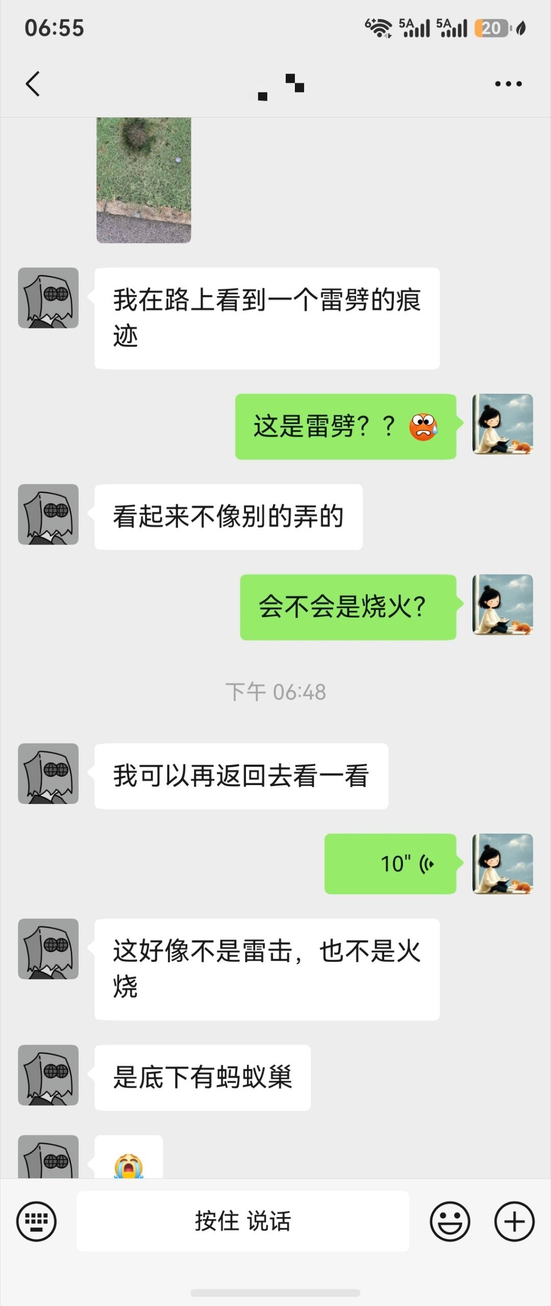 生活手记 我家好奇的小乖，17岁了，感觉还和6岁时一样一样的