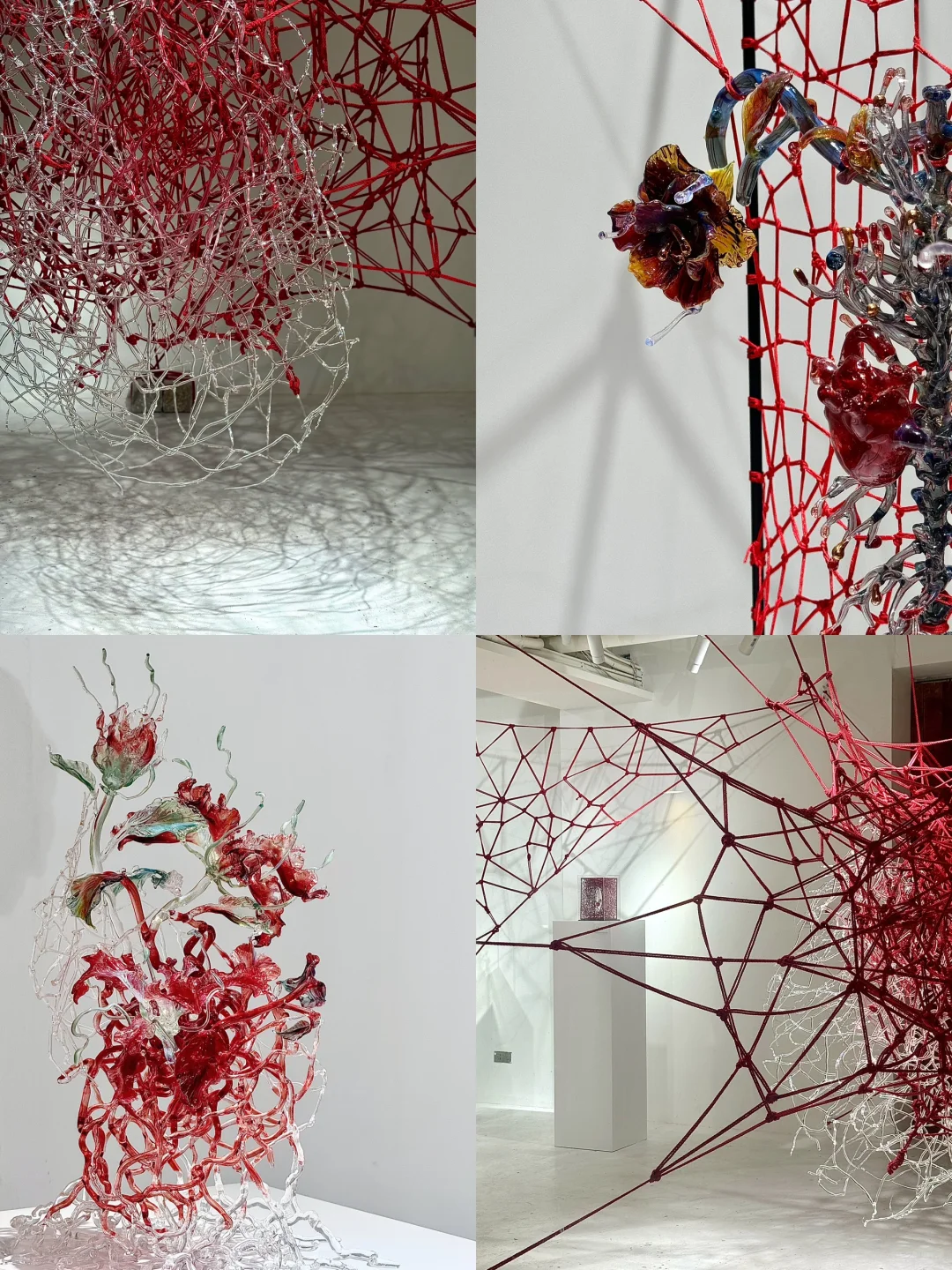 来上海这个展览！建议带上你的“玻璃心”🫀