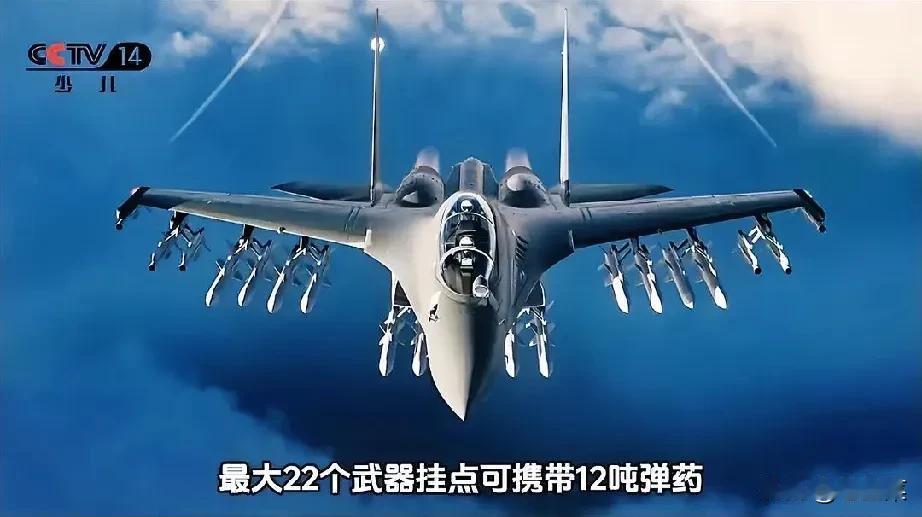 这是我们的歼16D战机，是由中航沈飞研发，代号“潜龙”，北约代号“终极侧卫”，央