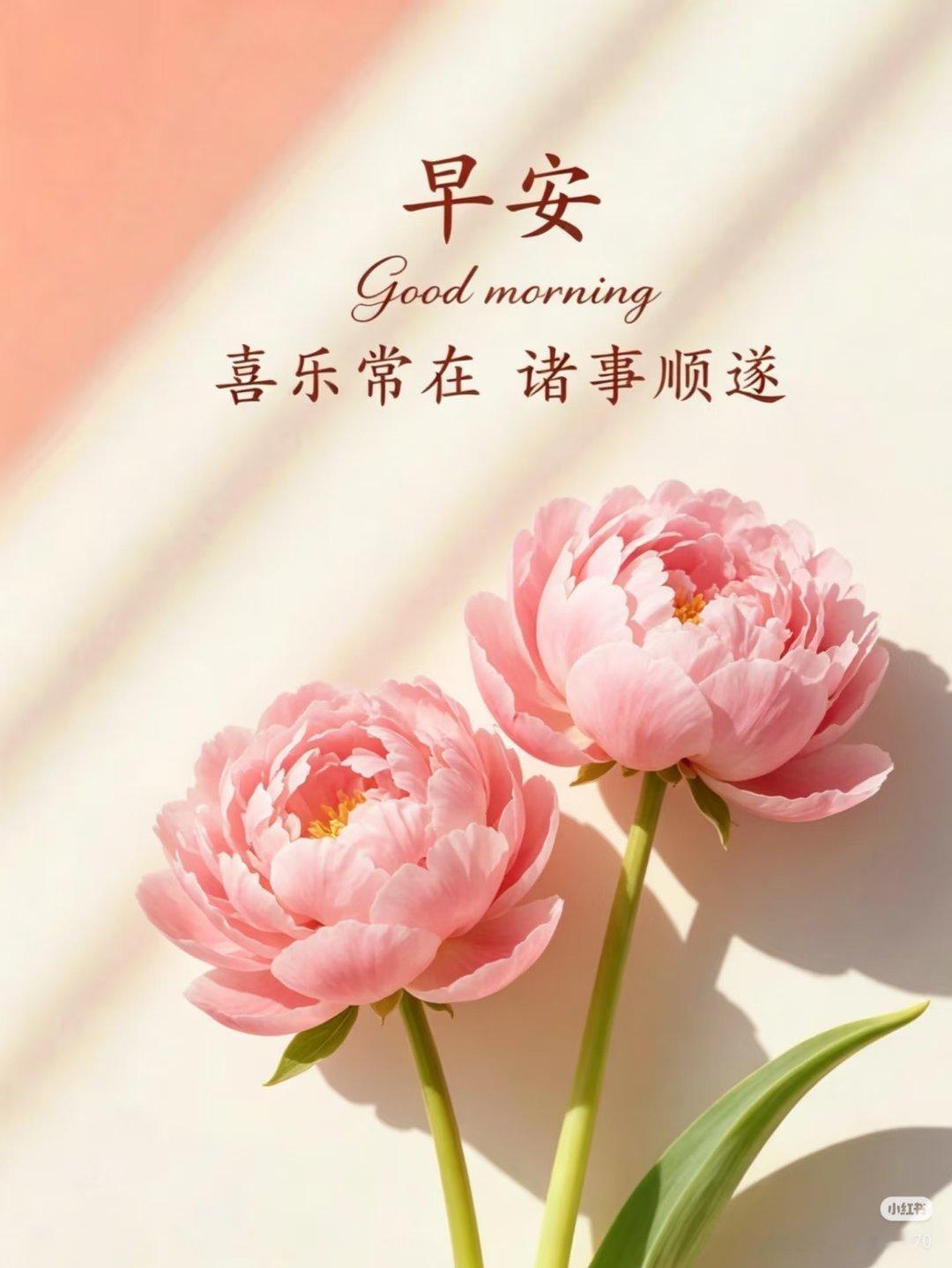 早安 吉祥的早晨，真诚的祝福，让美好的一天，充满幸福和快乐，早上好！😋 
