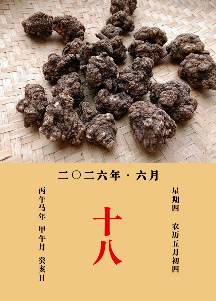 每天一味中草药 大明说：芎䓖，治一切风，一切气，一切劳损，一切血，补五劳，壮筋骨