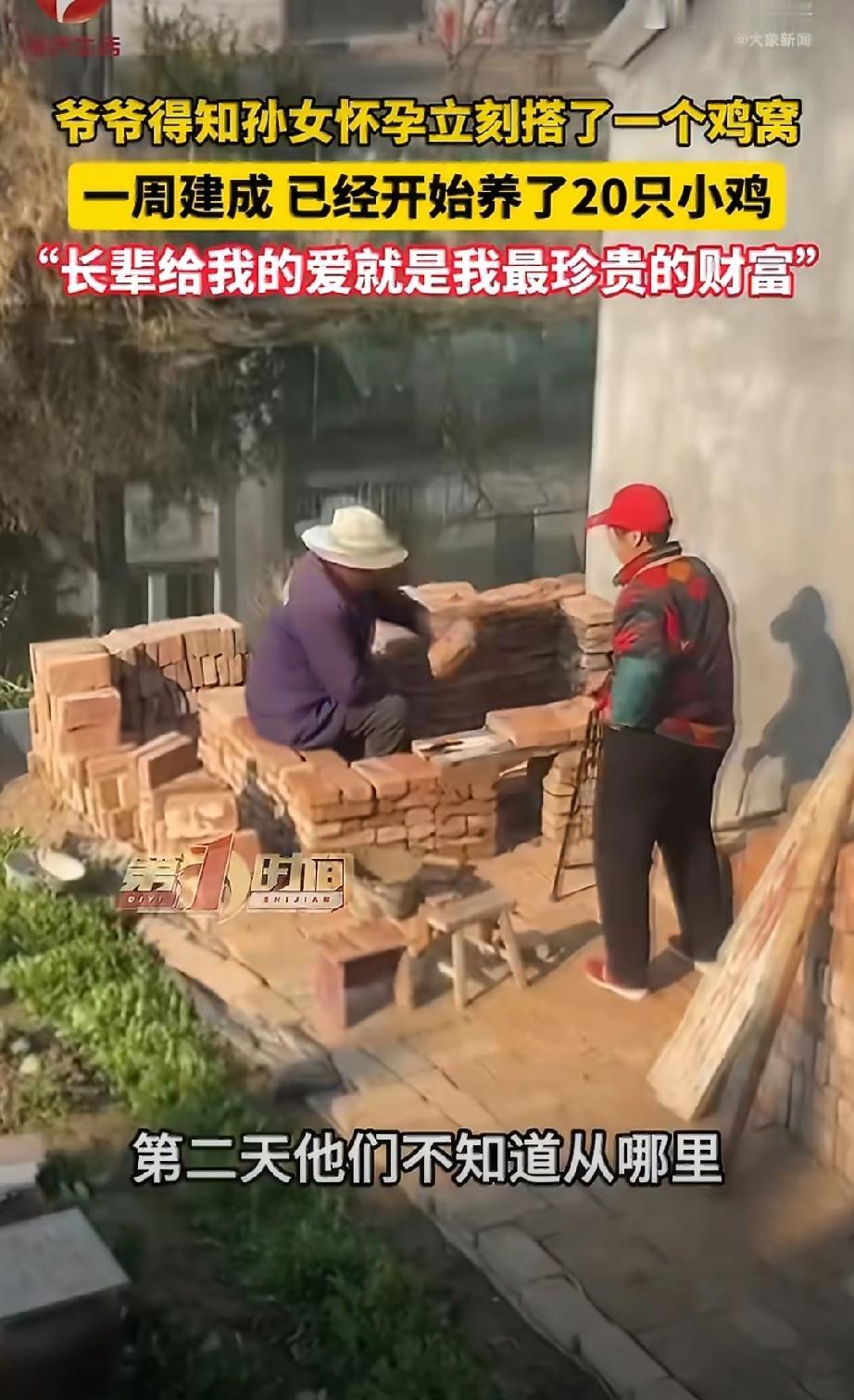 被这则新闻暖到了，
连夜建起来的鸡窝盛满的全是爷爷的爱！

江苏南通一位70多岁