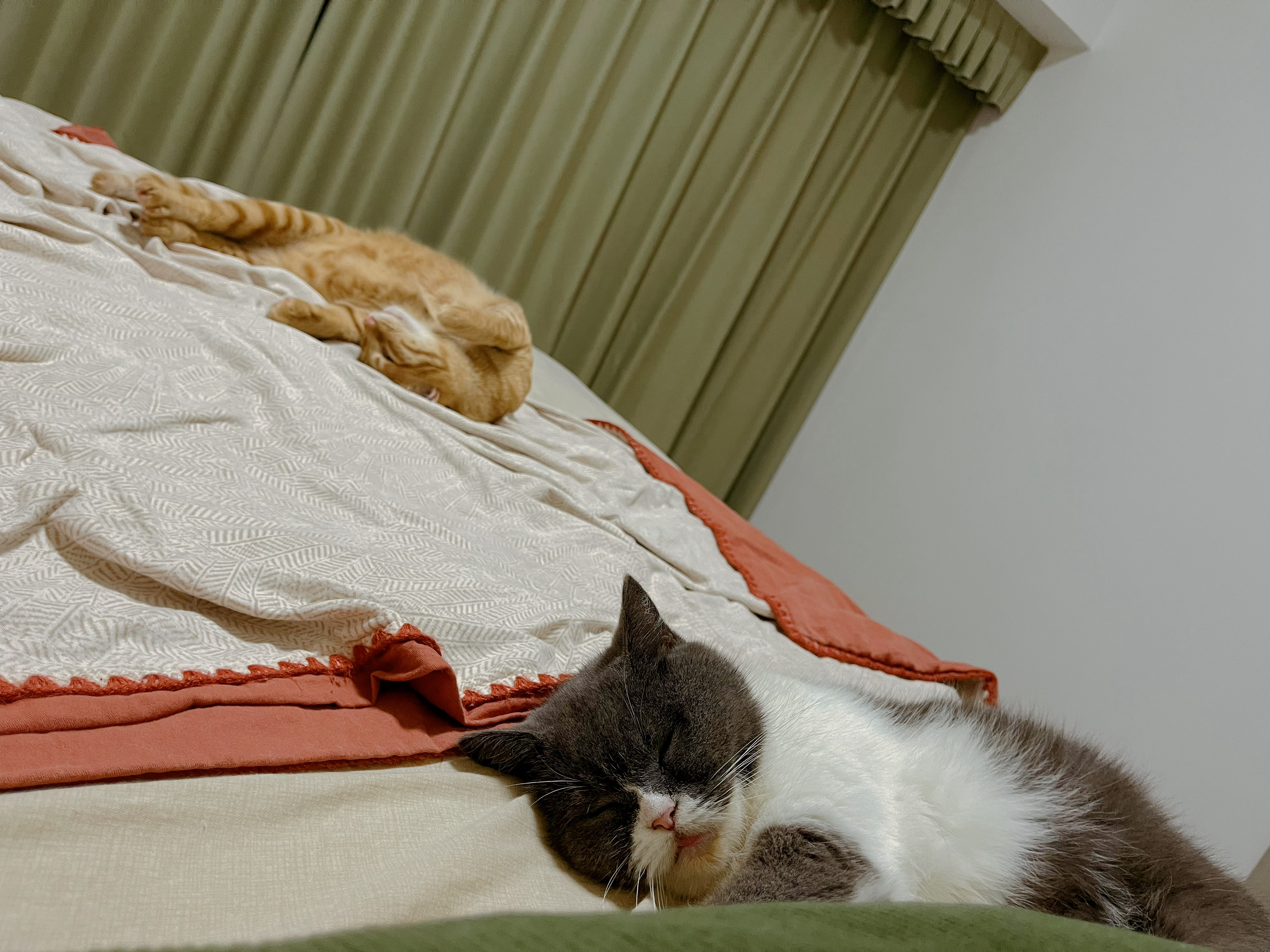 😴 