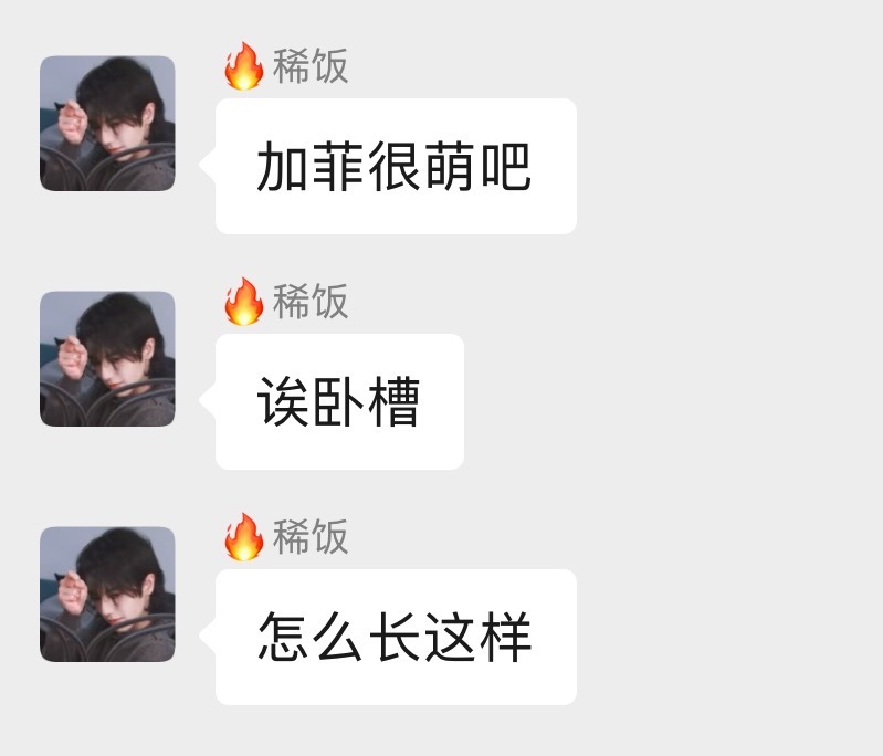 我要被这个人笑晕了怎么这么好笑（没有针对加菲的意思 