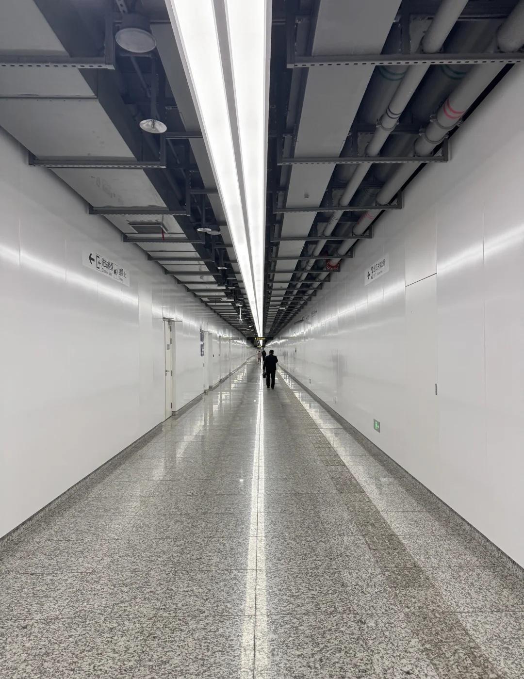 上海这18号线出口怎么不修到东方明珠上去😭
上海地铁