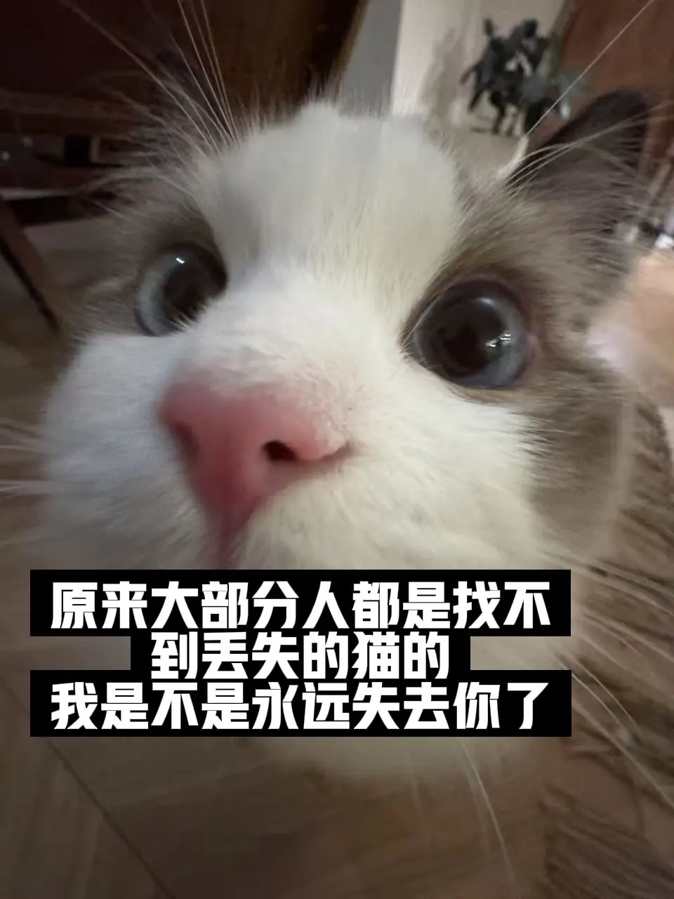 我是不是永远失去你了。