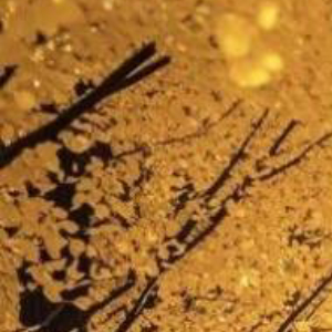 望远镜可以望见远方的目标，却不能代替你走半步路。努力经营当下，直至未来明朗，晚安