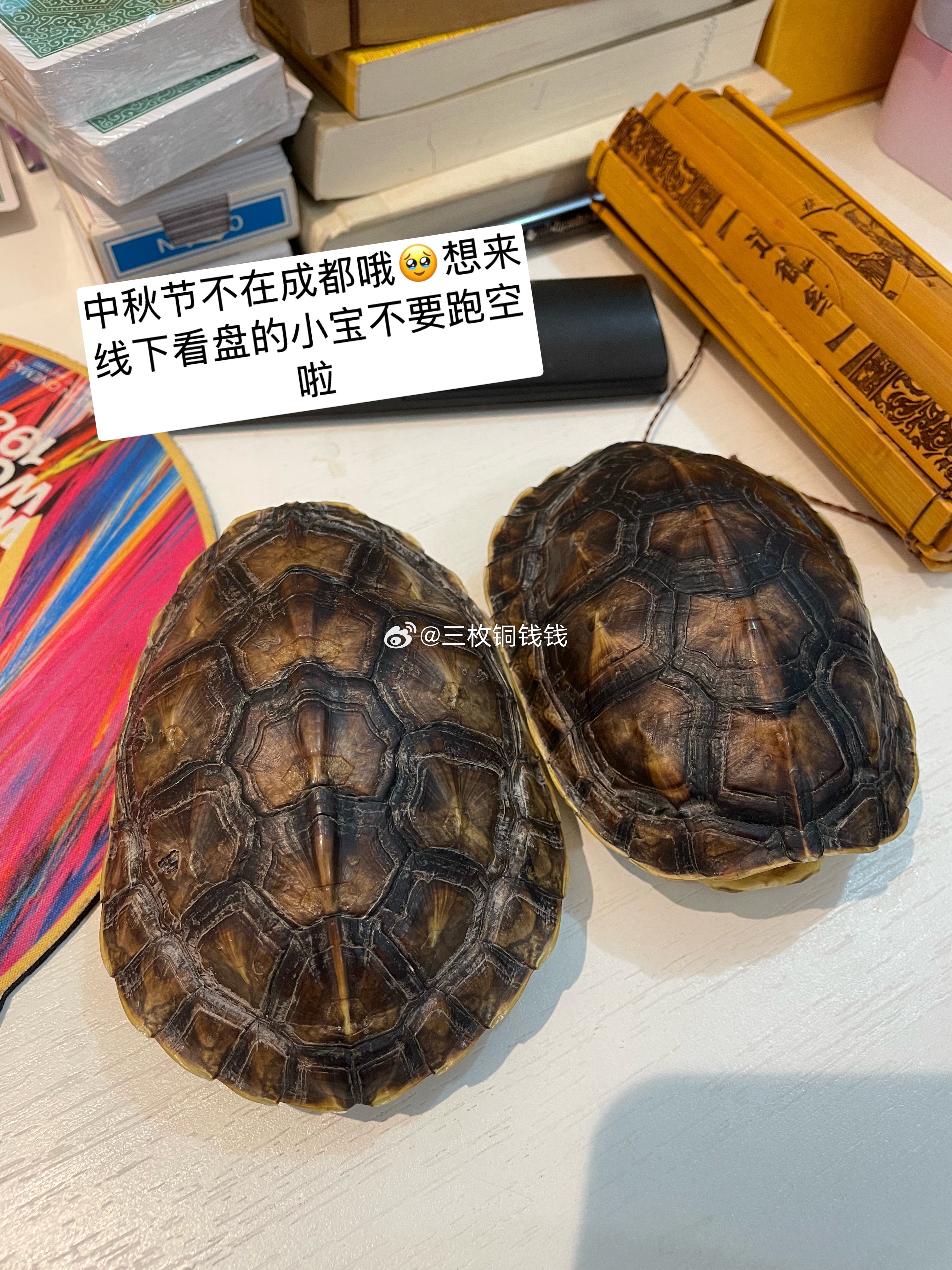 紫微斗数  天机、巨门、文昌和文曲坐命的宝宝真的很适合多说、多写、多上台，把脑子