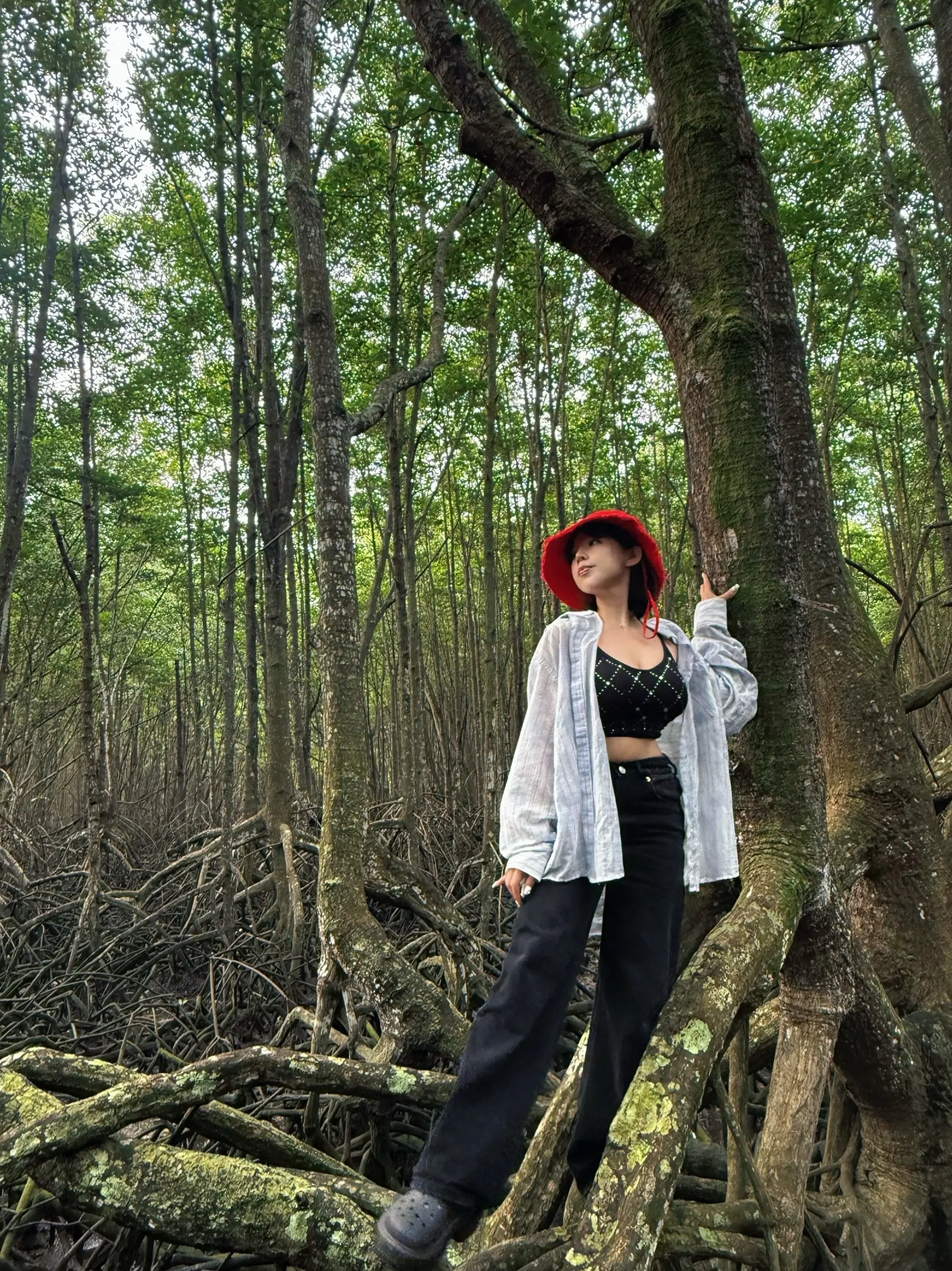 你是旷野是山间的风
