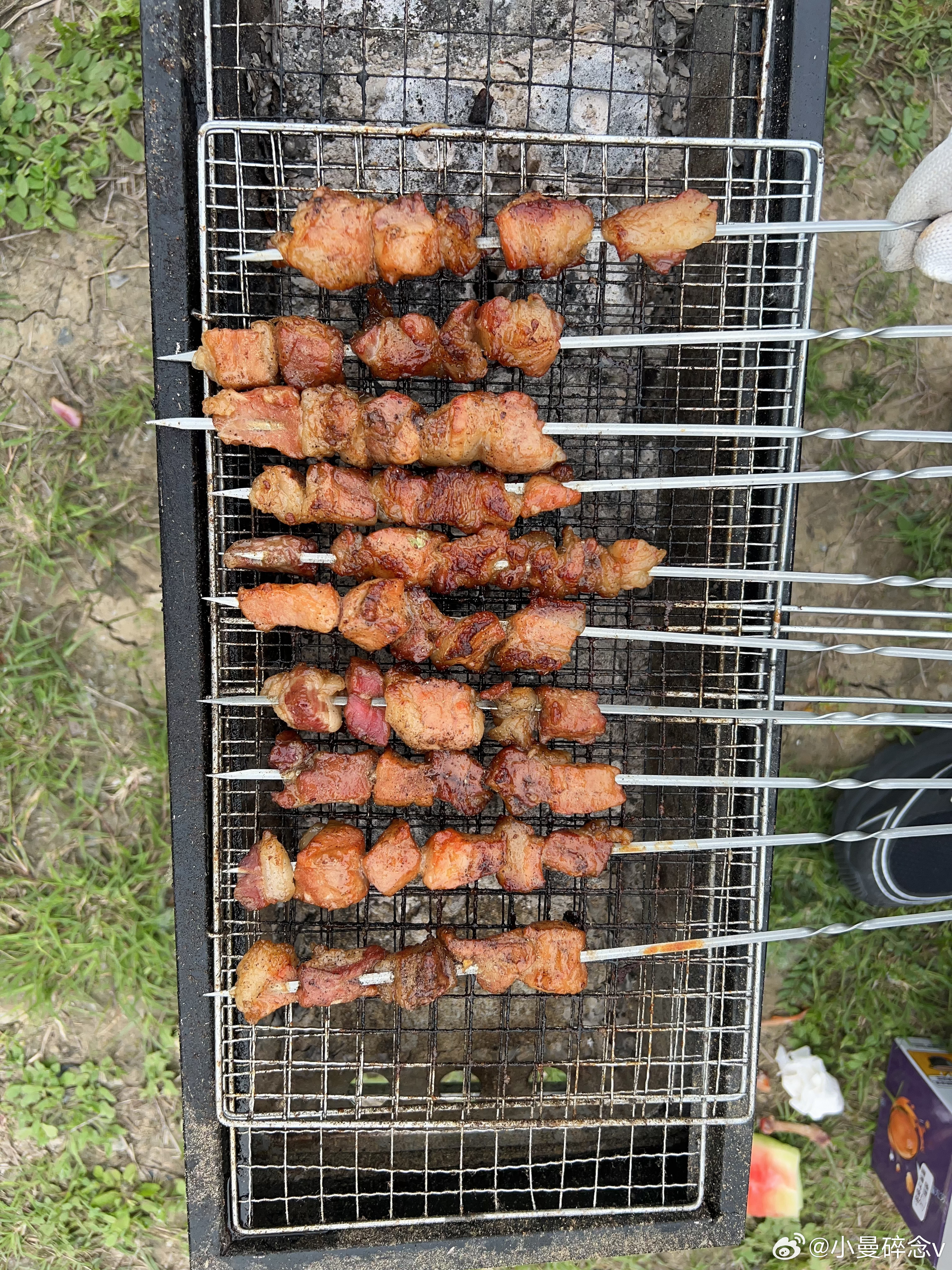 露营烧烤吃到撑了，猪队友负责烤还挺靠谱，技术再练练可以去开铺了假期结束🔚带火莫